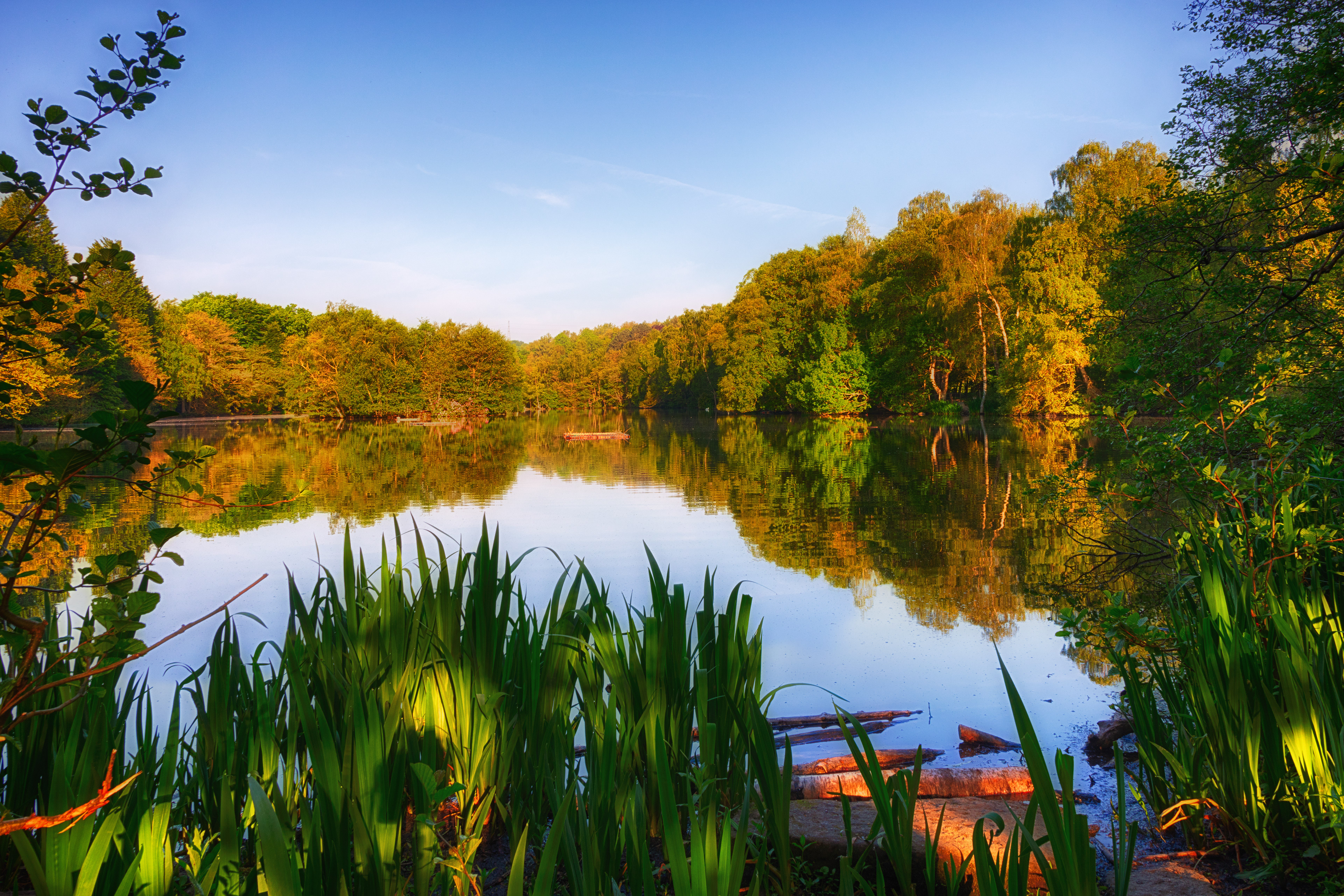 St Ives Estate - Coppice Pond Summer