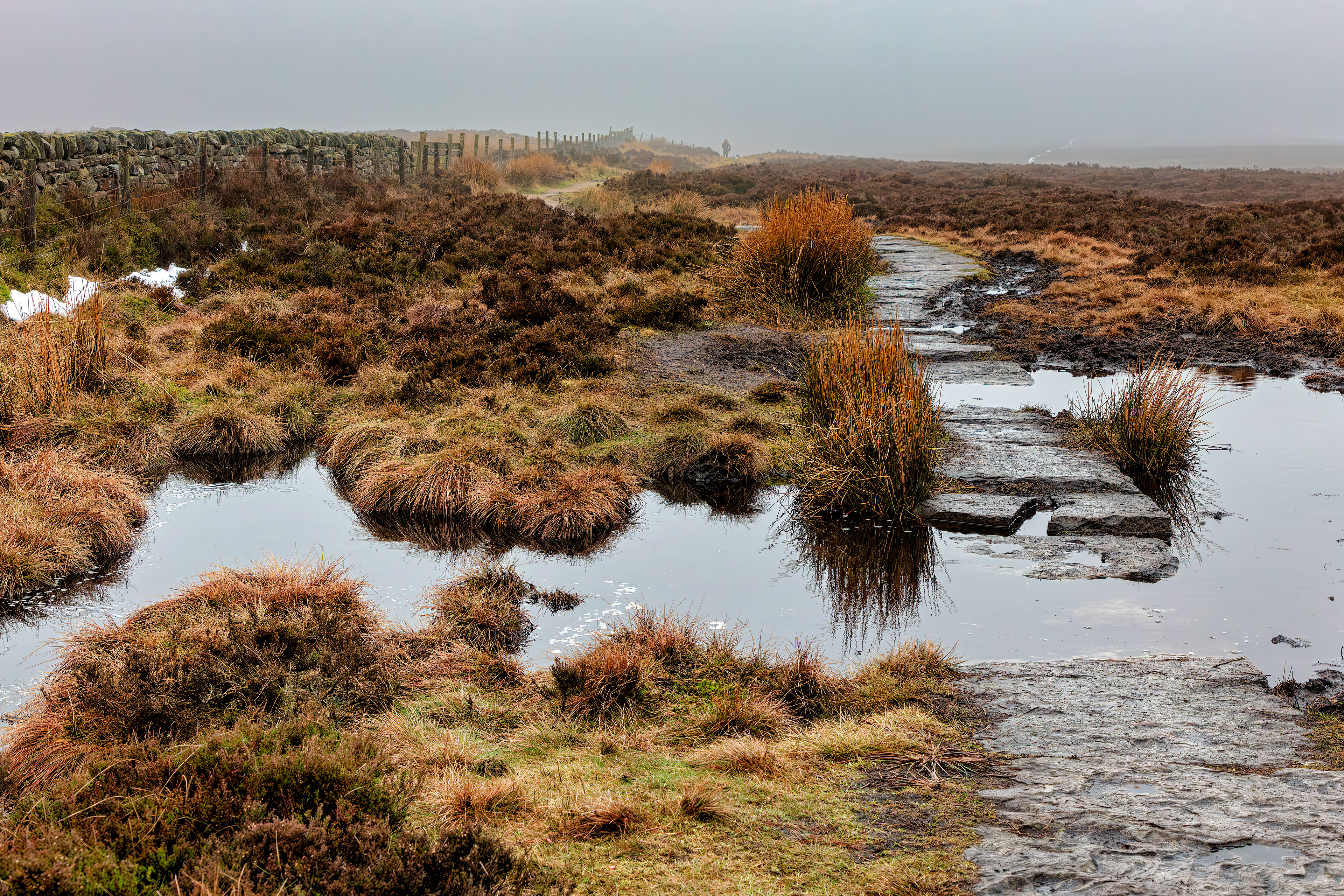 Ilkley Moor - 7231