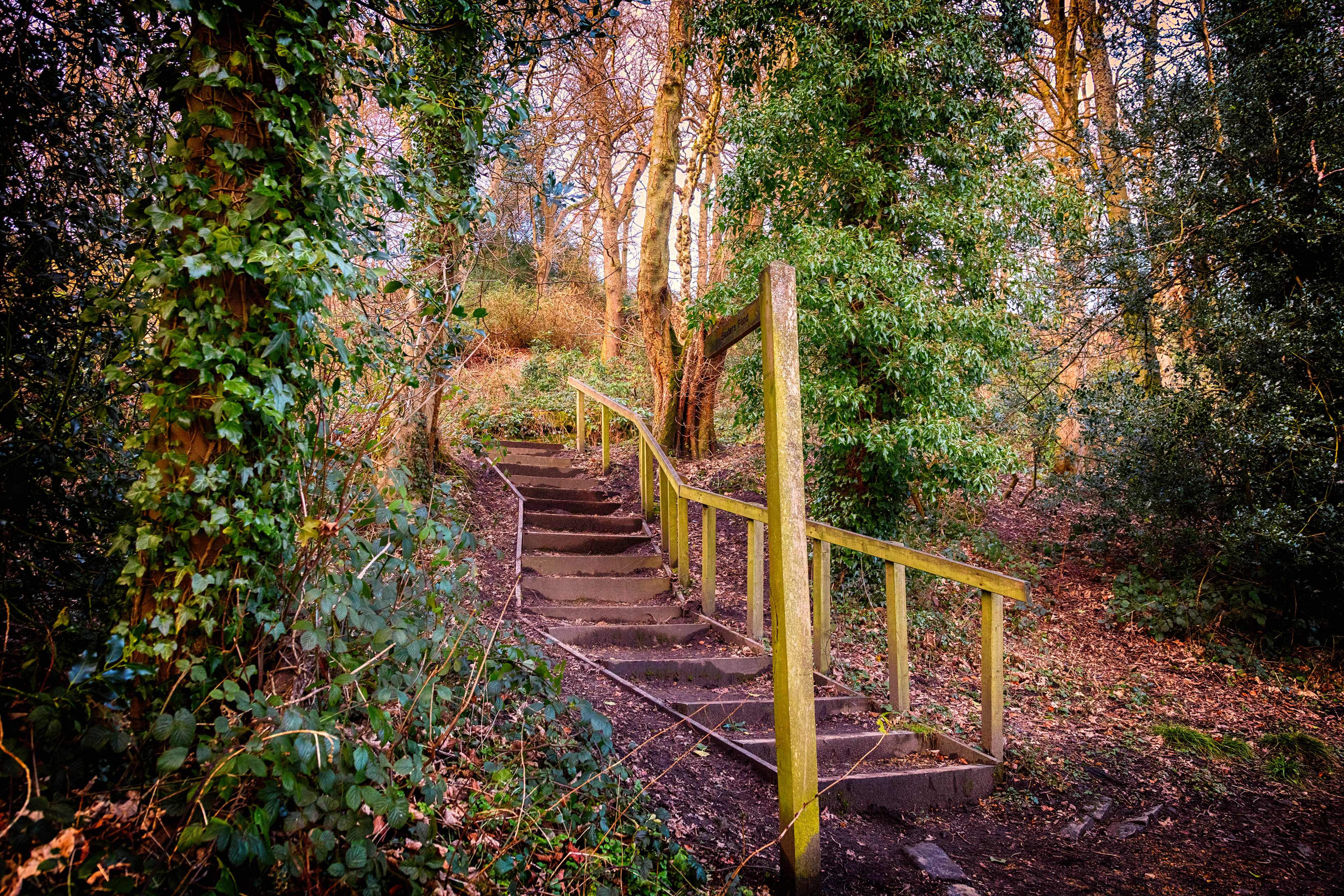 St Ives Estate - Pointing the Way