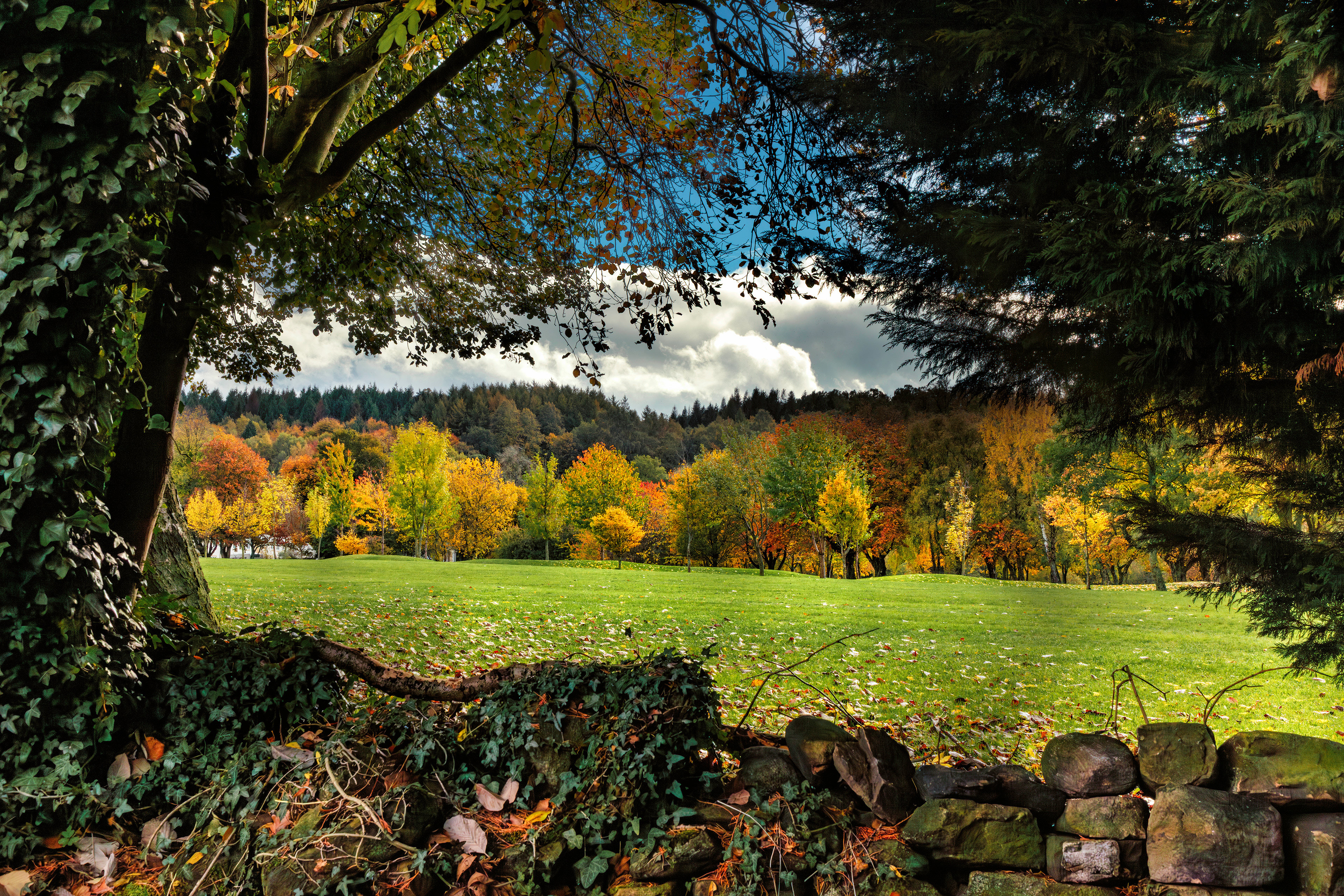 Beck Foot Lane - 3866