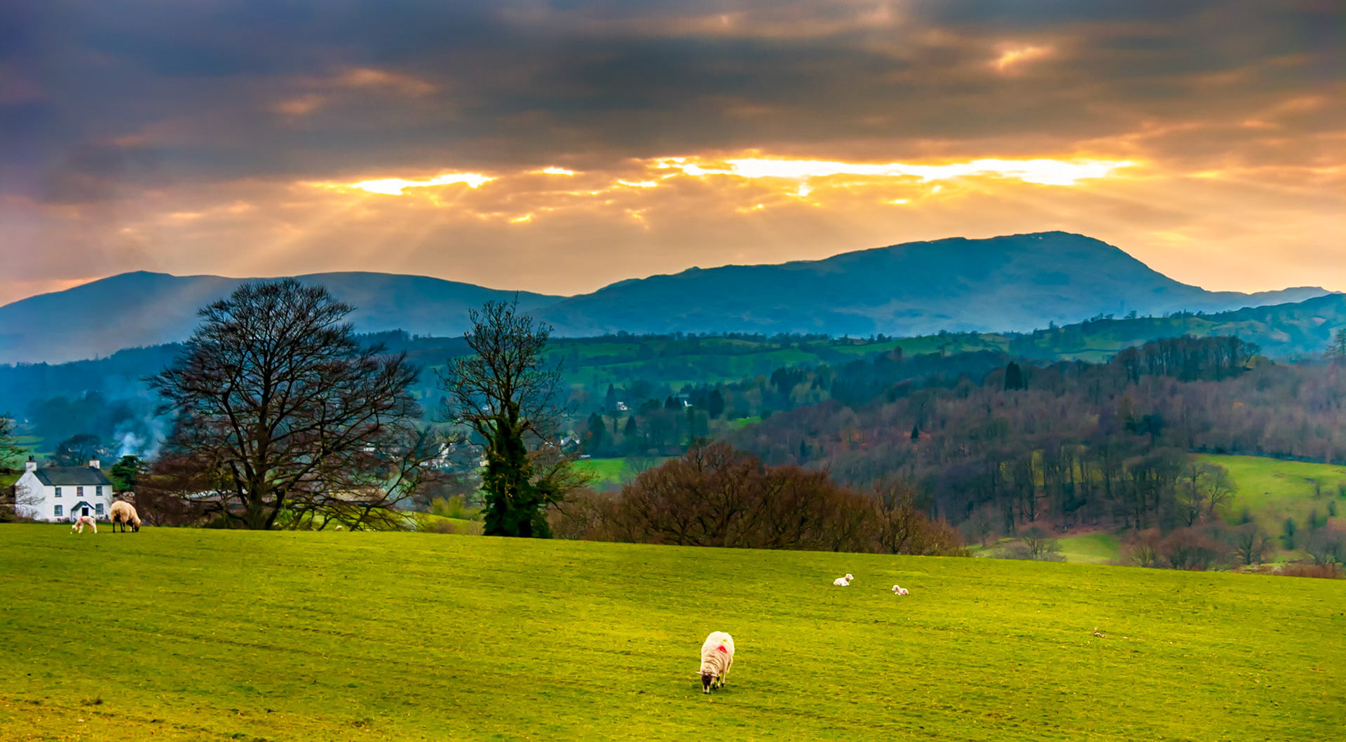 A sunny interval breaks through the clouds onto lakeland fells in the English Lake District whilst spring lambs graze in the fields.