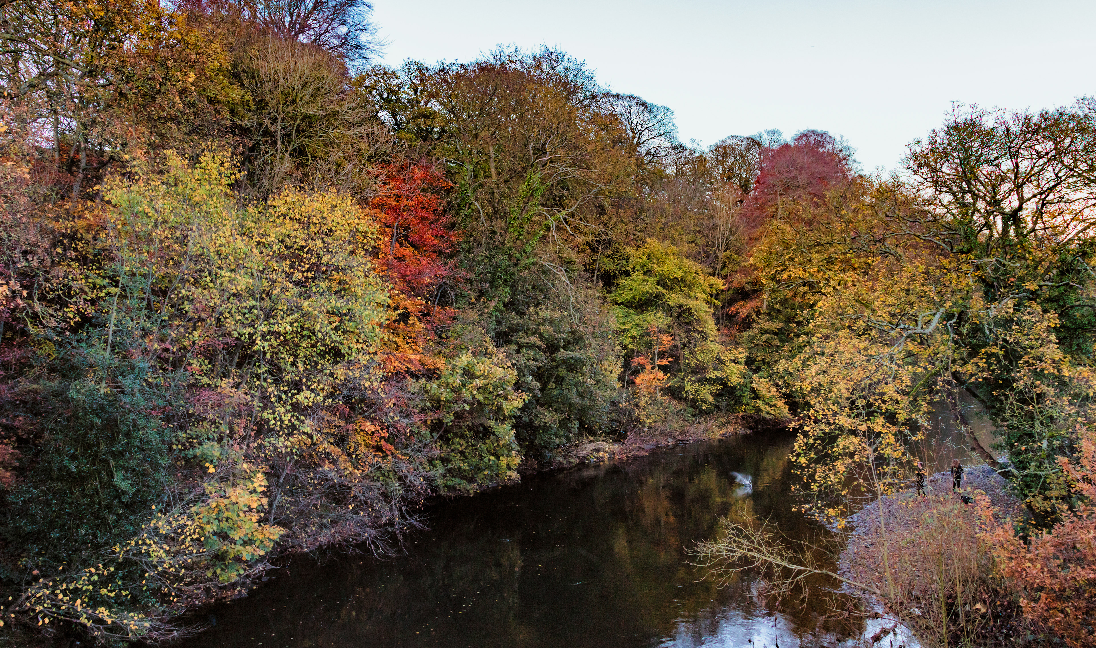 River Aire at Dowley Gap