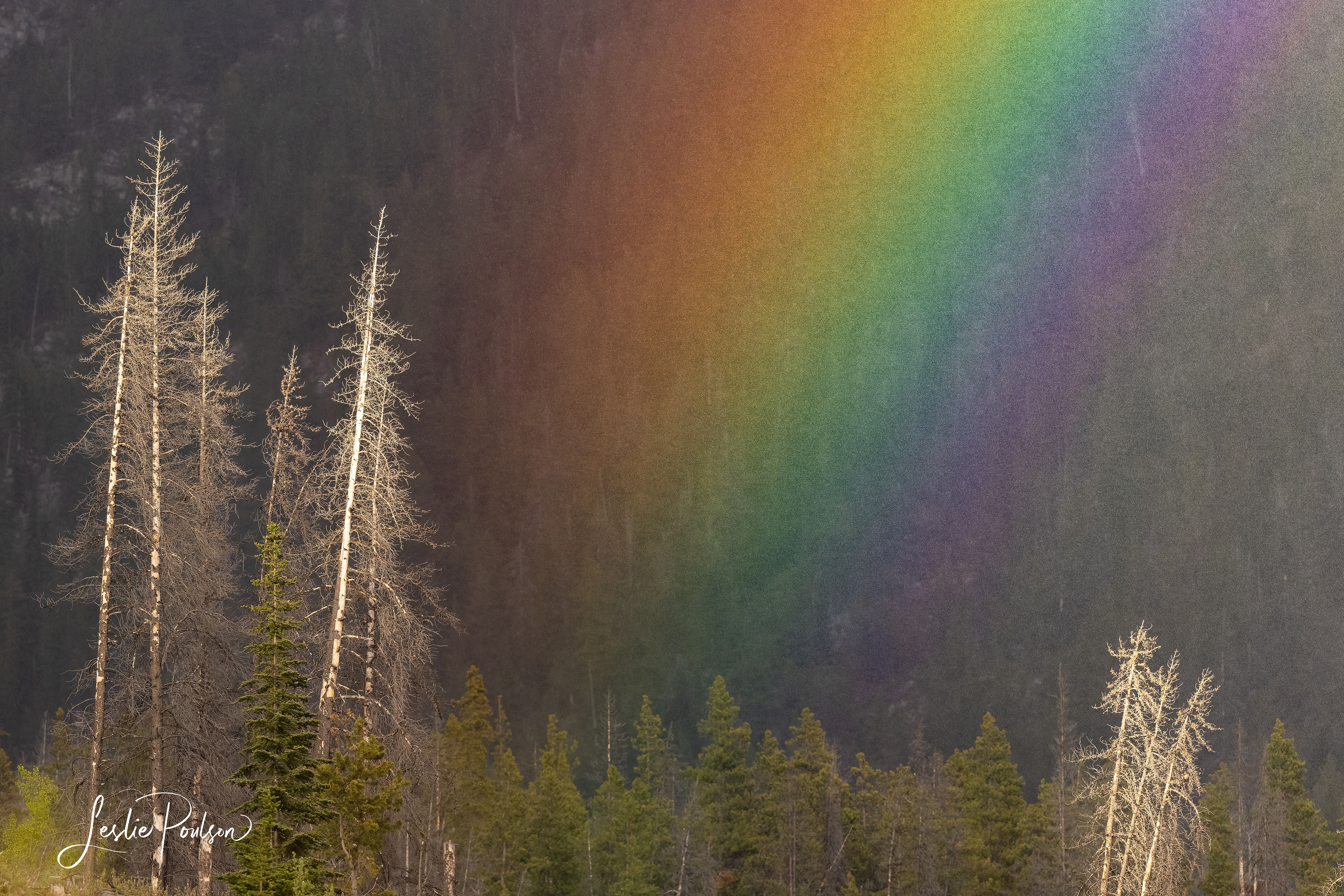 Sunshower Rainbow - Canada