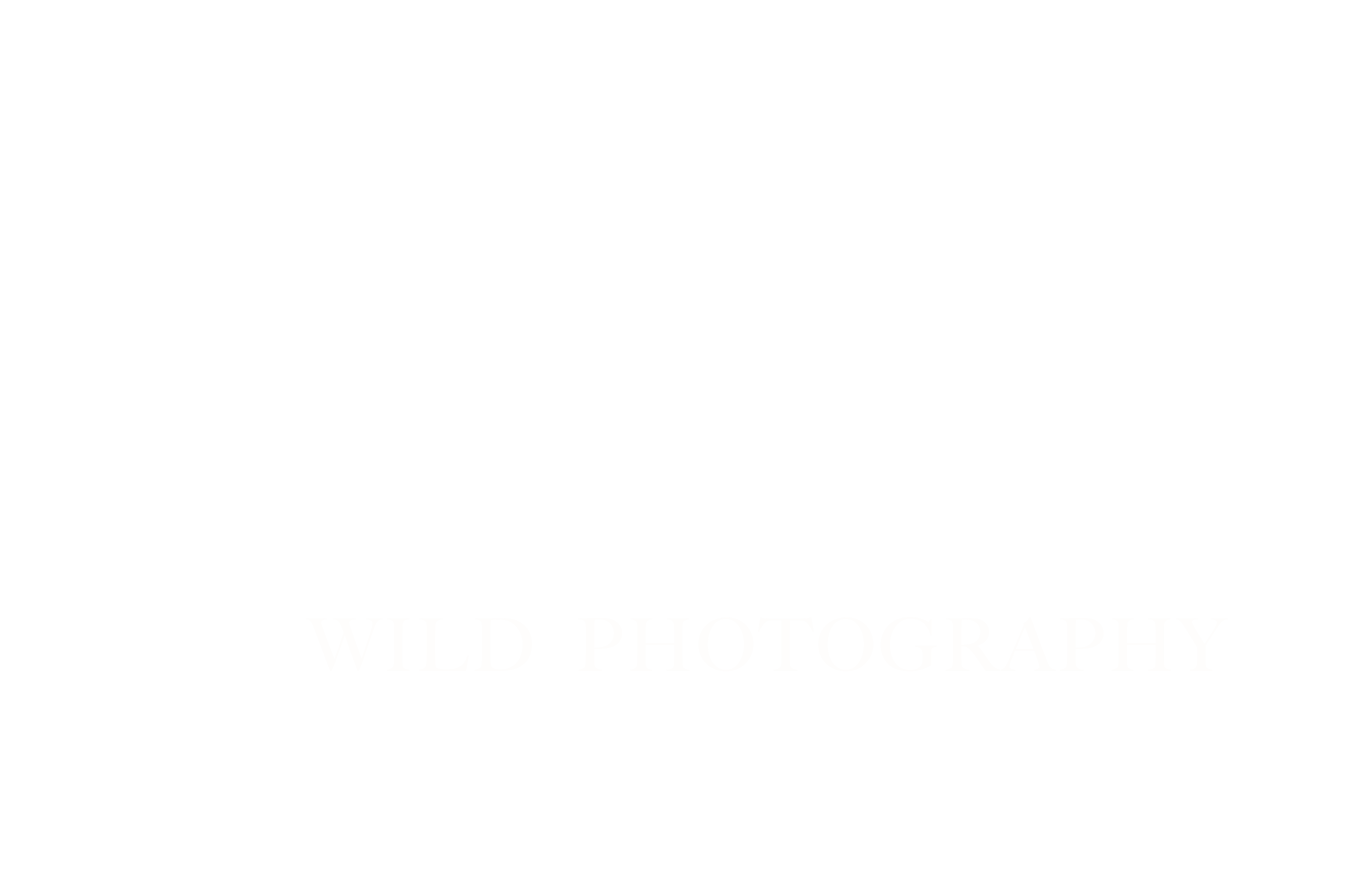 Leslie Poulson Wild Photography