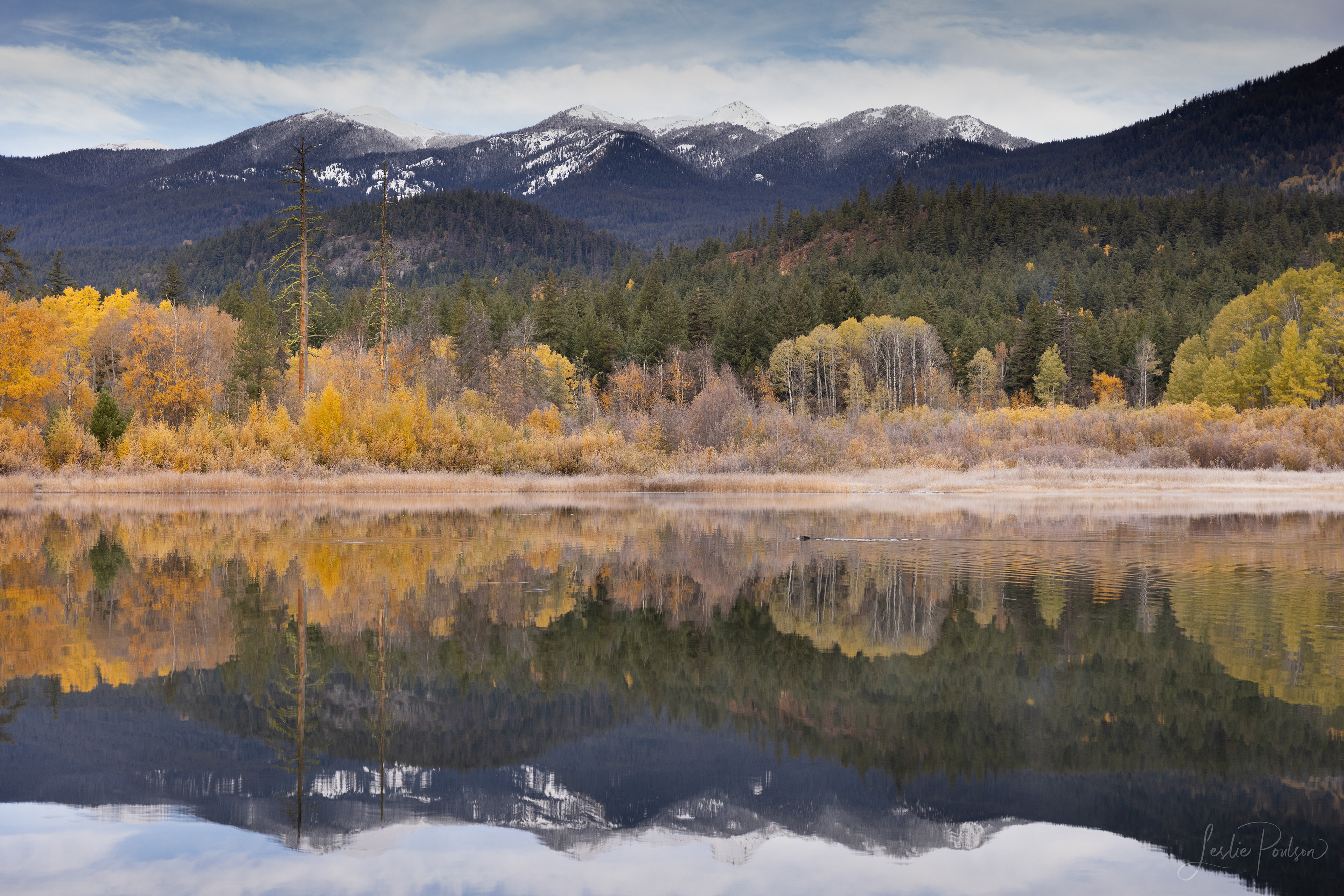 Autumn Reflections - Canada