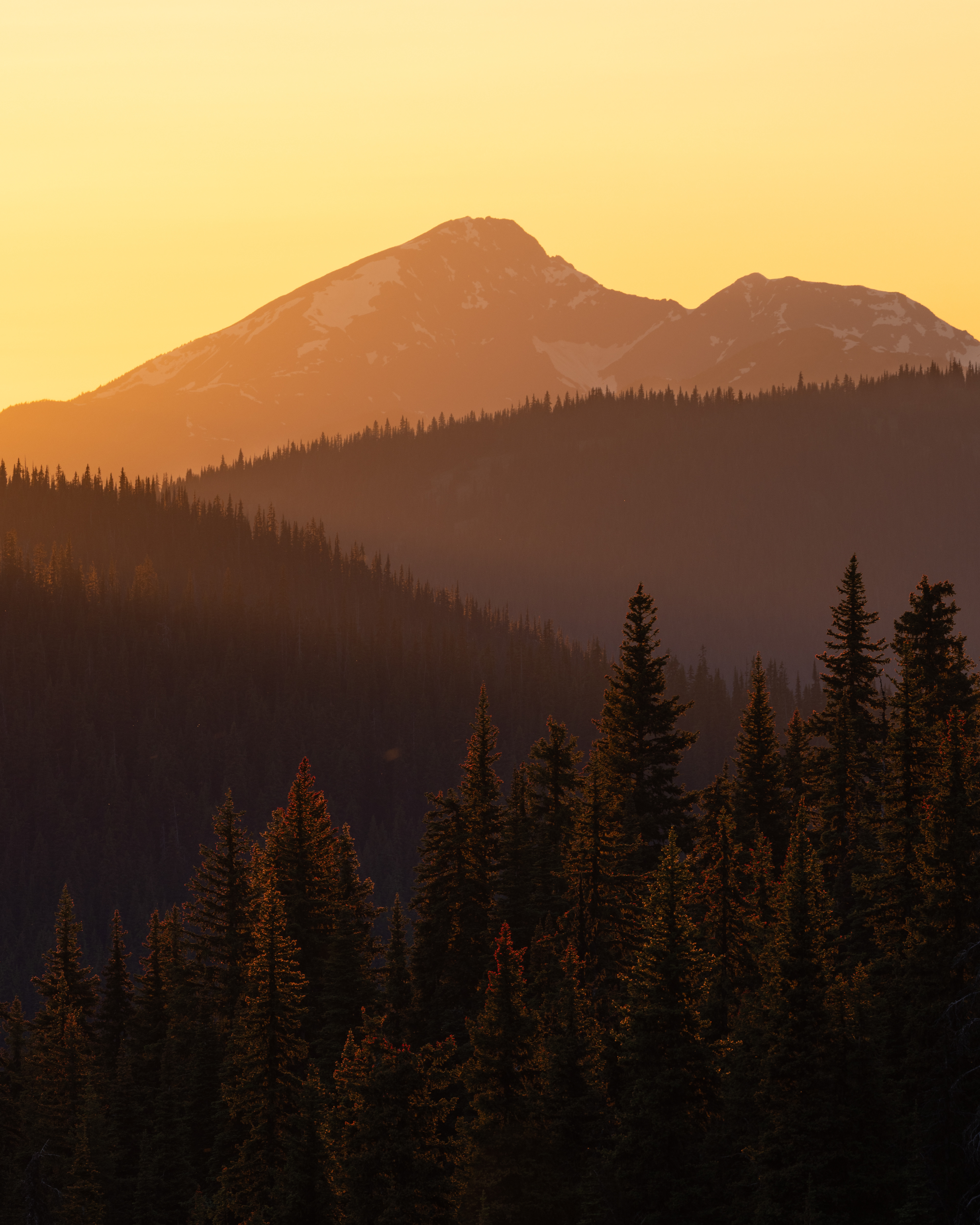 Sunset in the Spruce