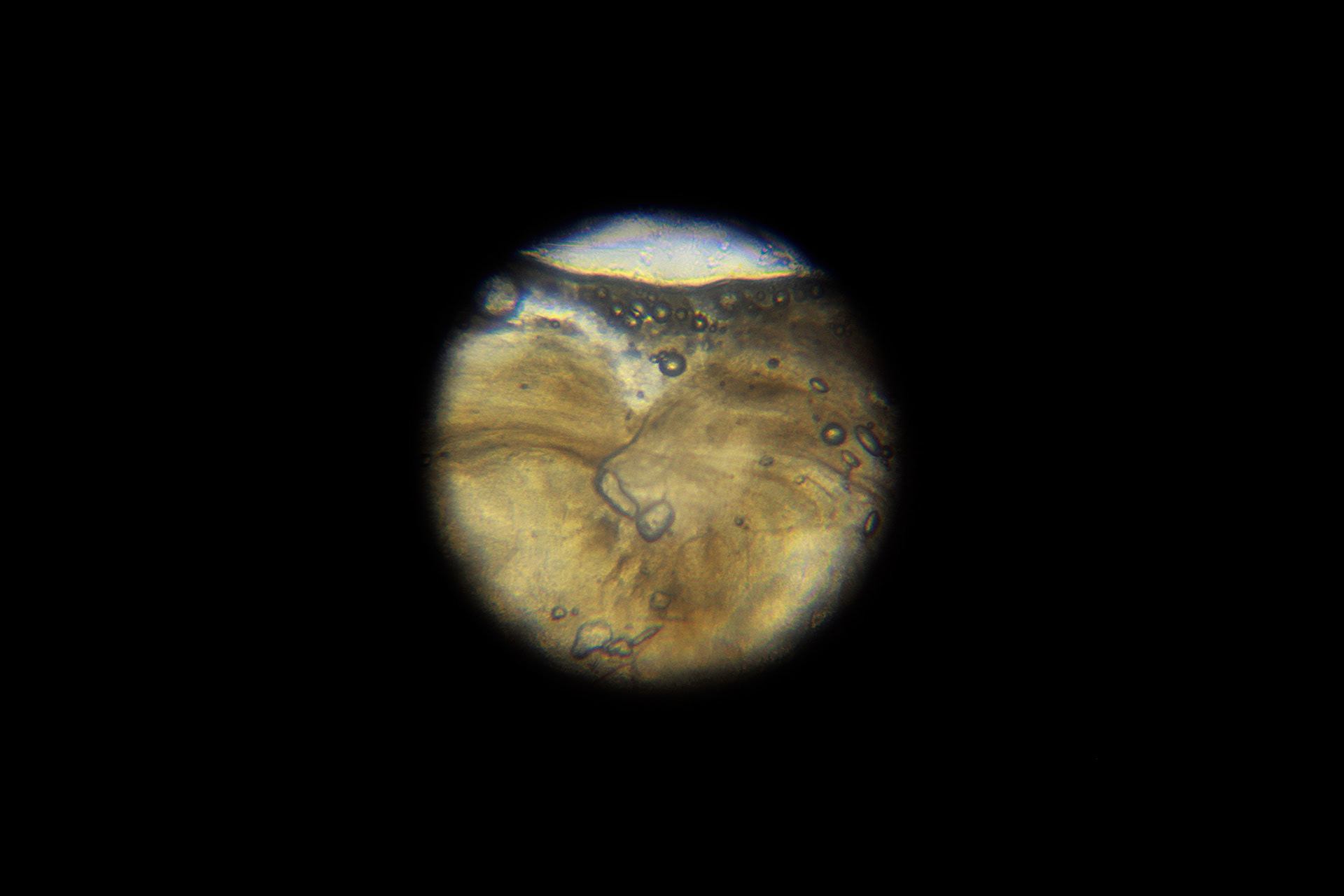 Pluto