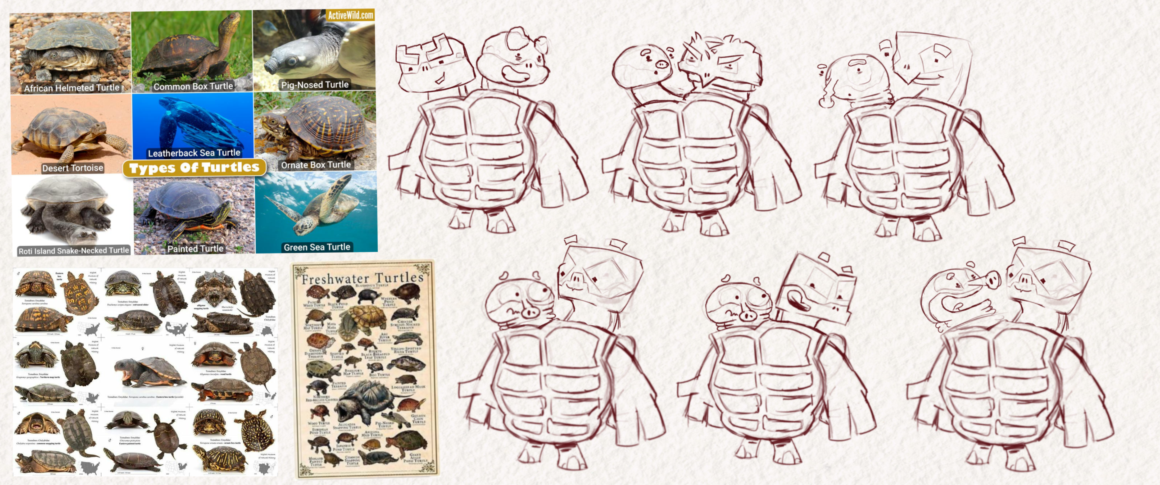 "Two In The Shell" Tuck and Roll Concepts 1 (2025)