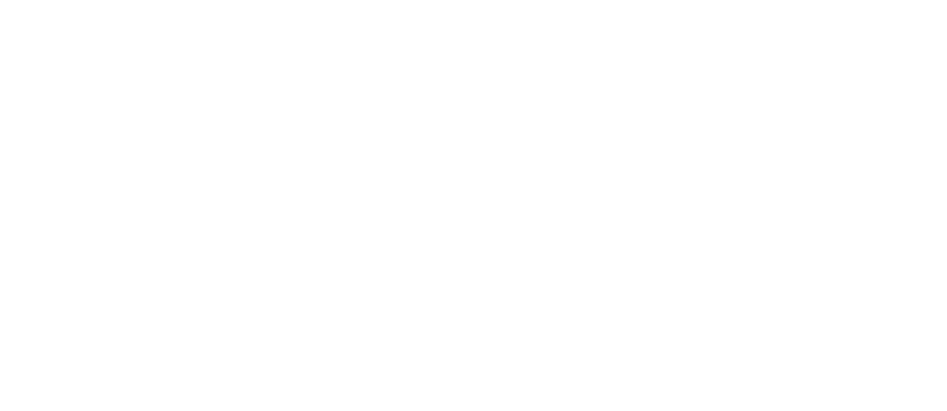 DAYDAY LIFESAVING