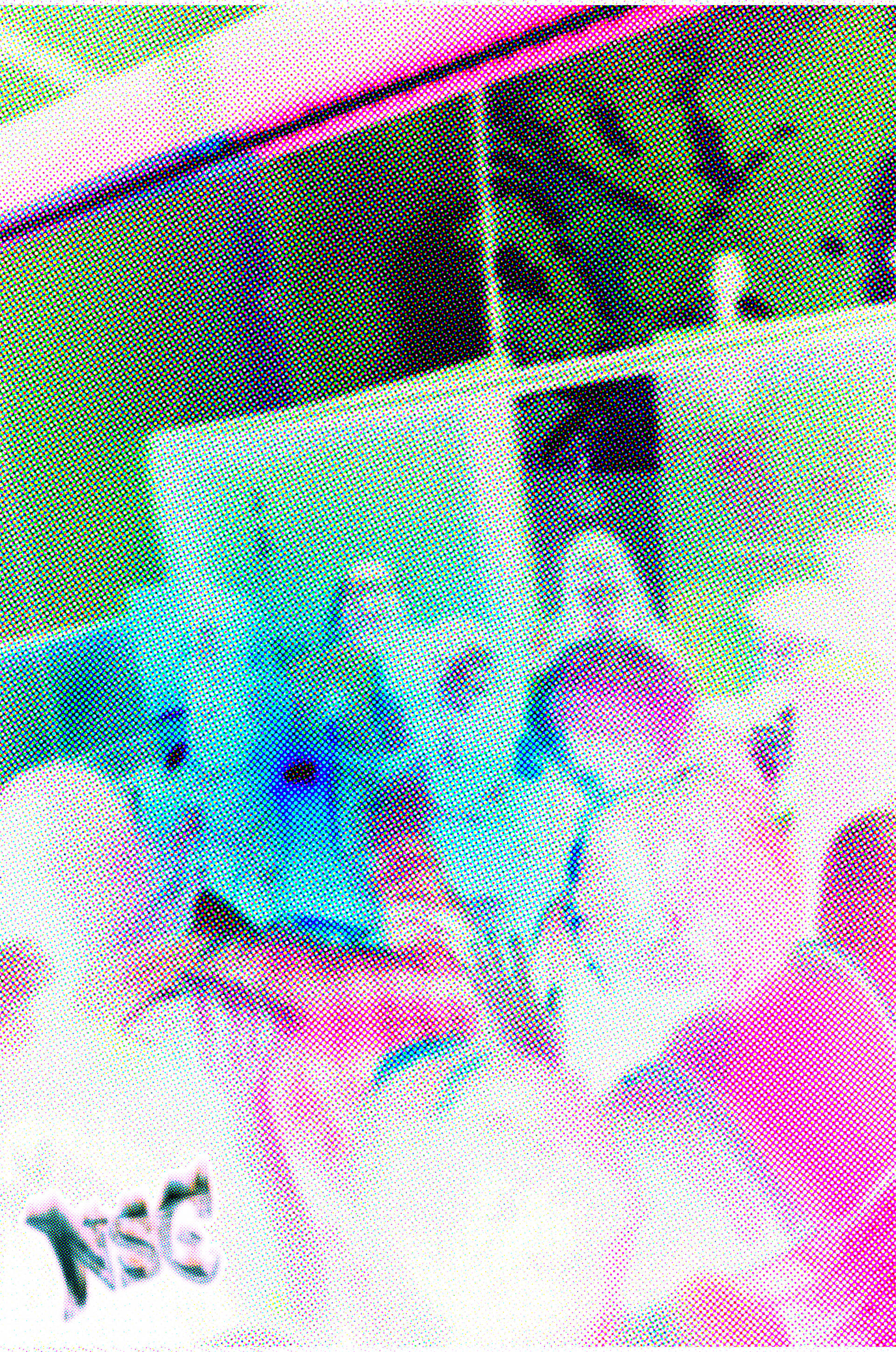 NSC CLUB GALLERY 2 (2021)