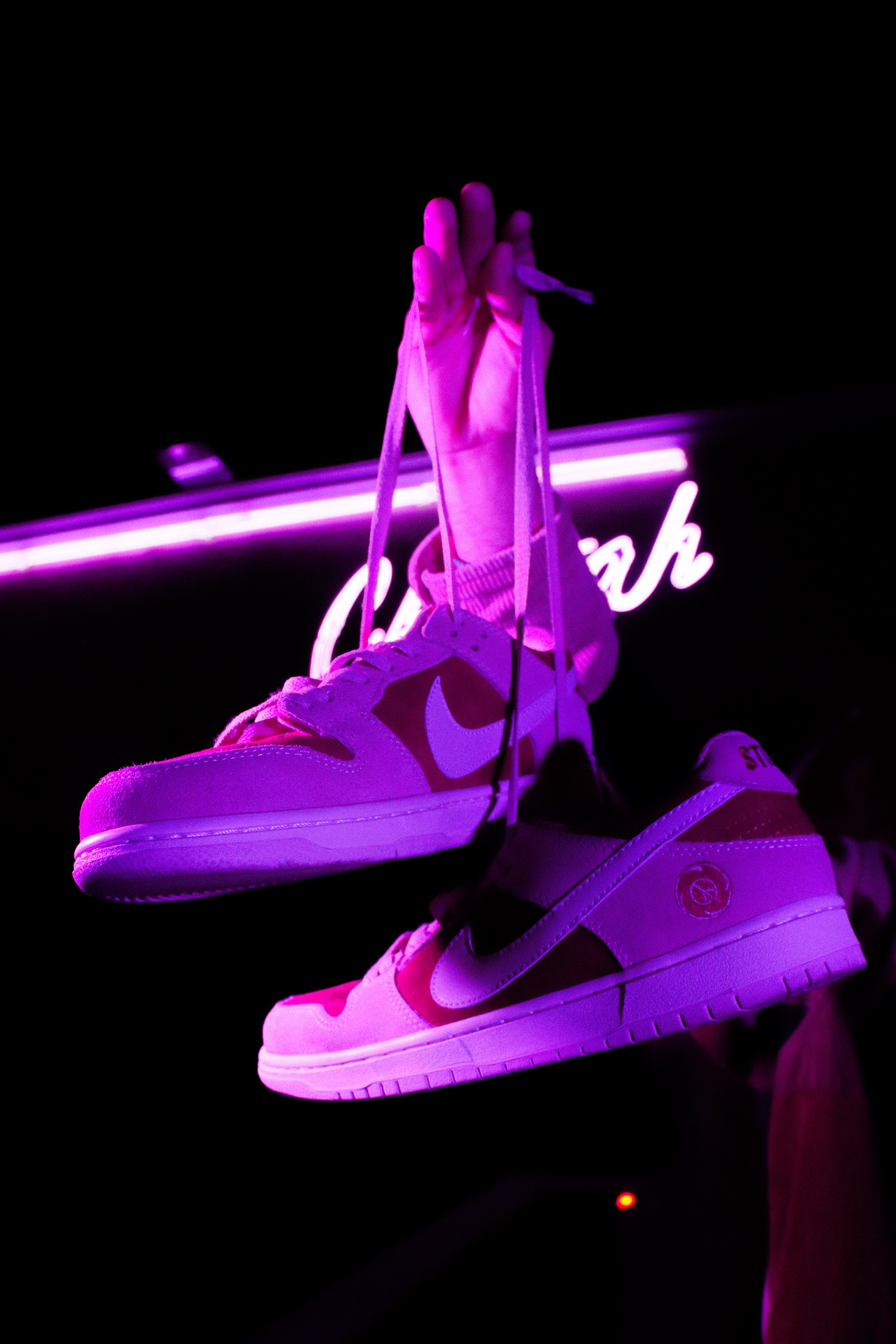 STILLZ X NIKE SB 2021