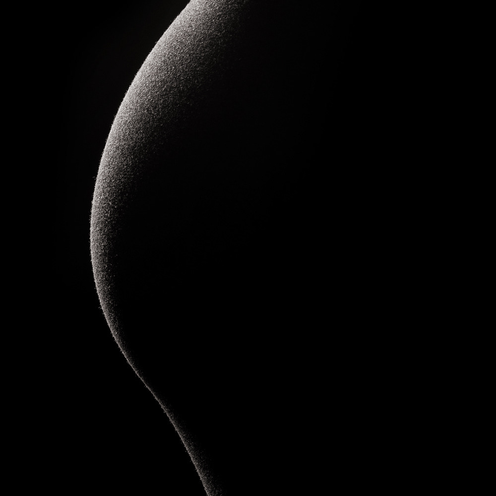 Babybauch-Aufnahme