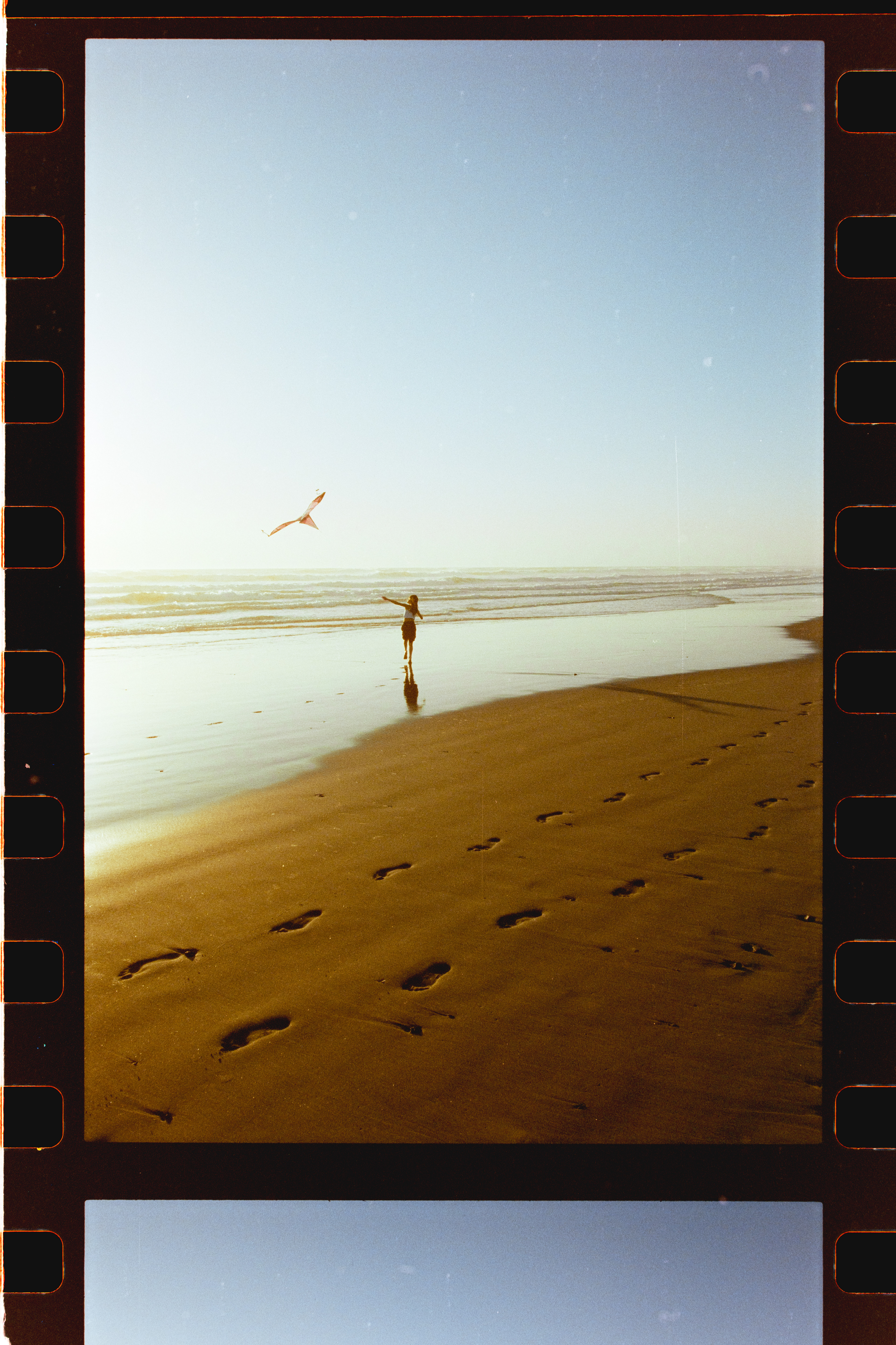 long beach, wa | cinestill 400d