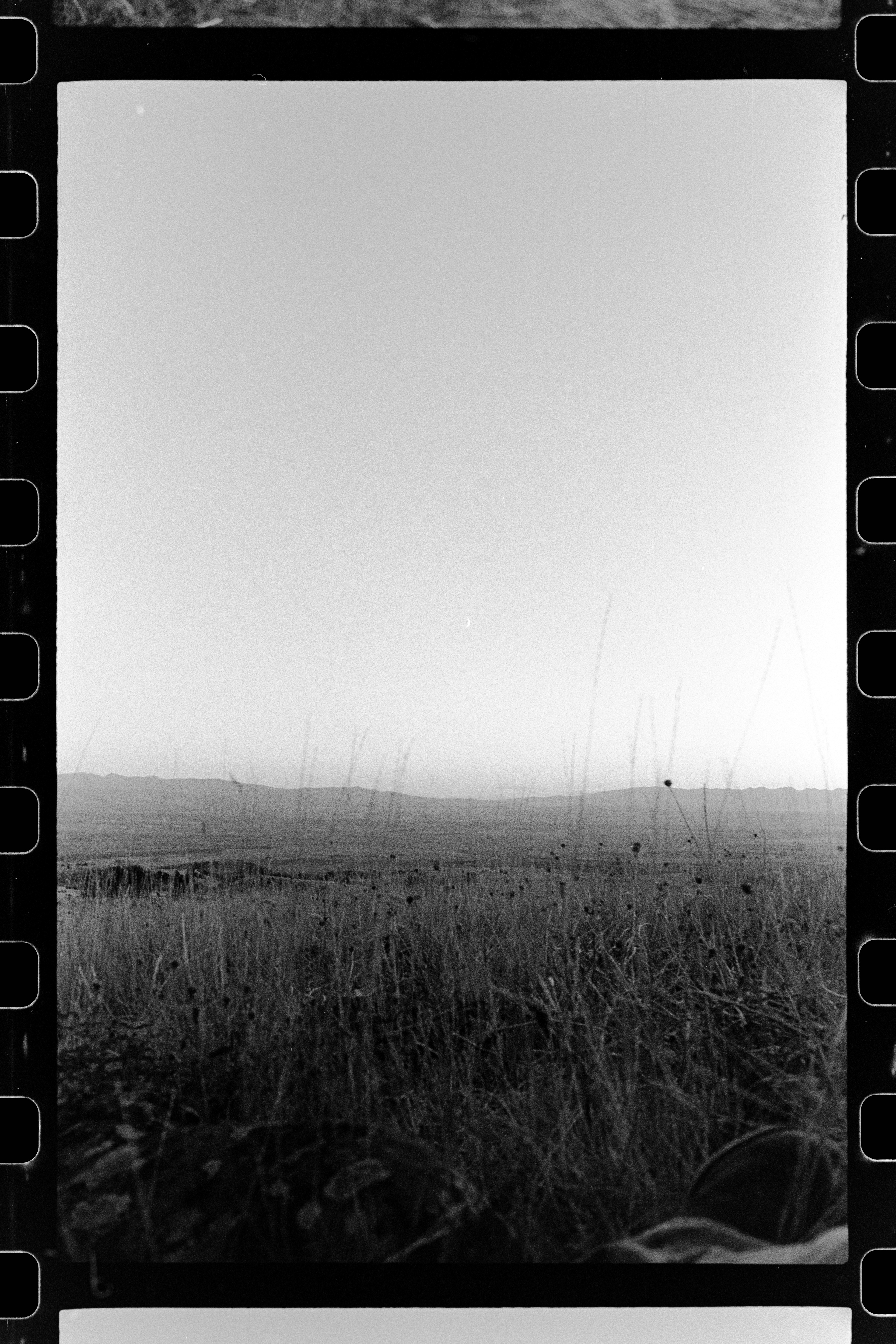 bozeman, mt | ilford hp5+