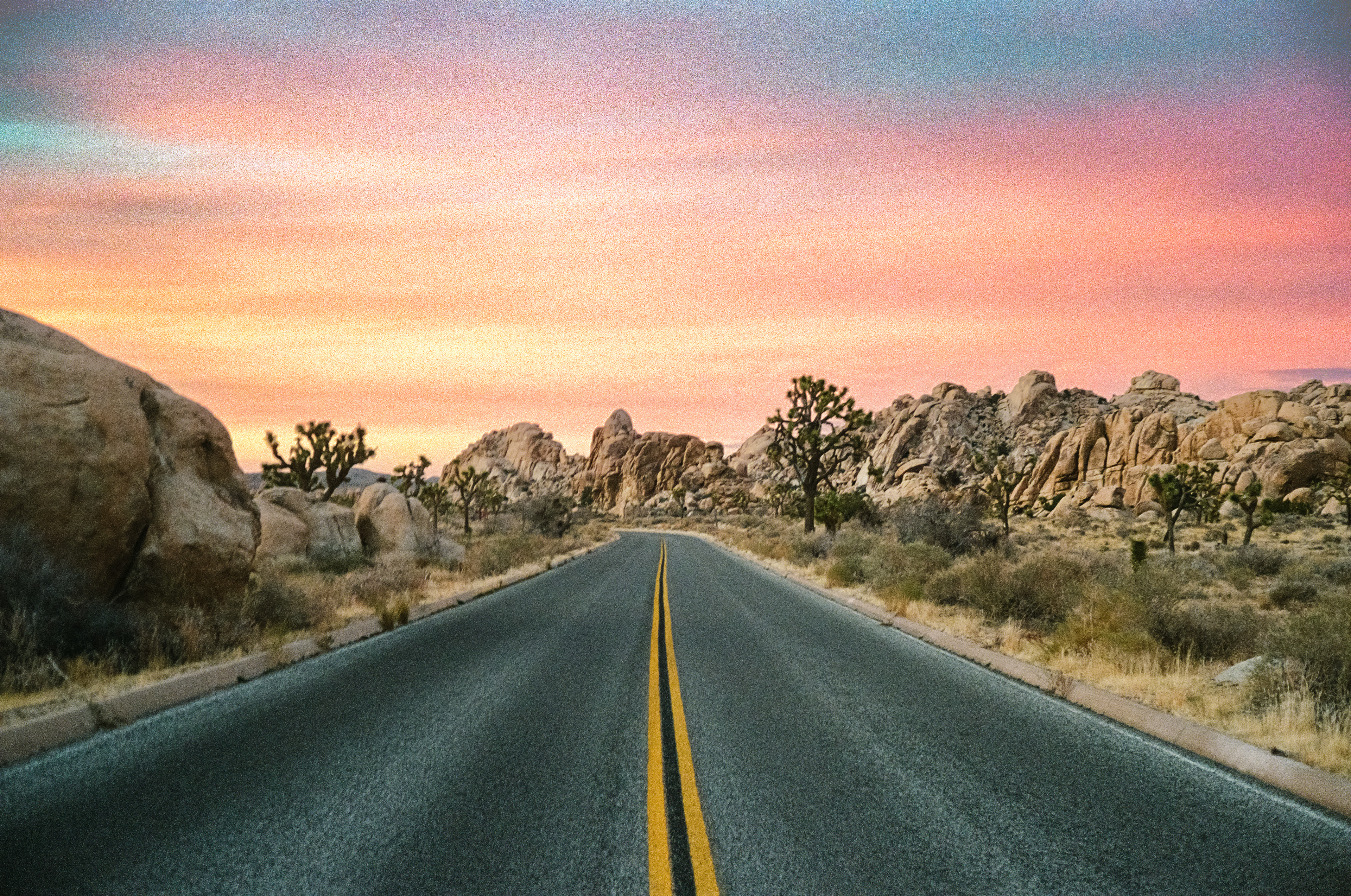 joshua tree | portra 80
