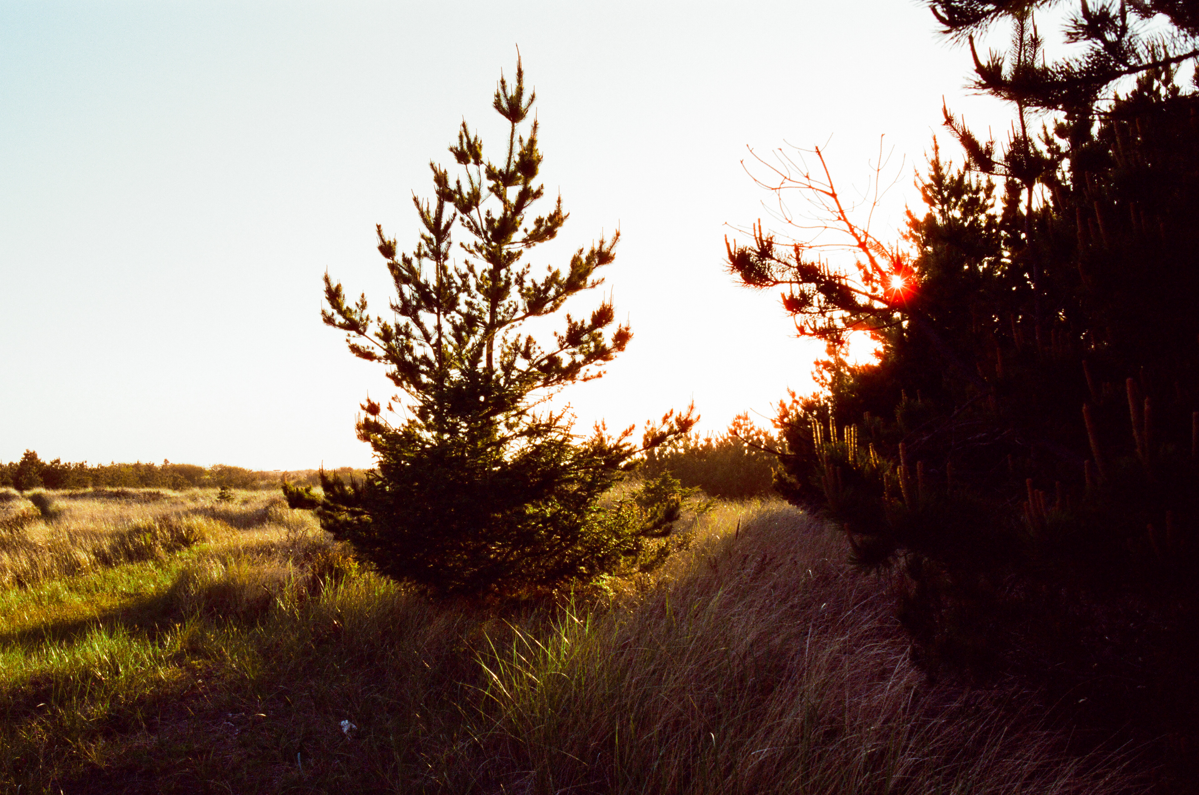 long beach, wa | cinestill 400d