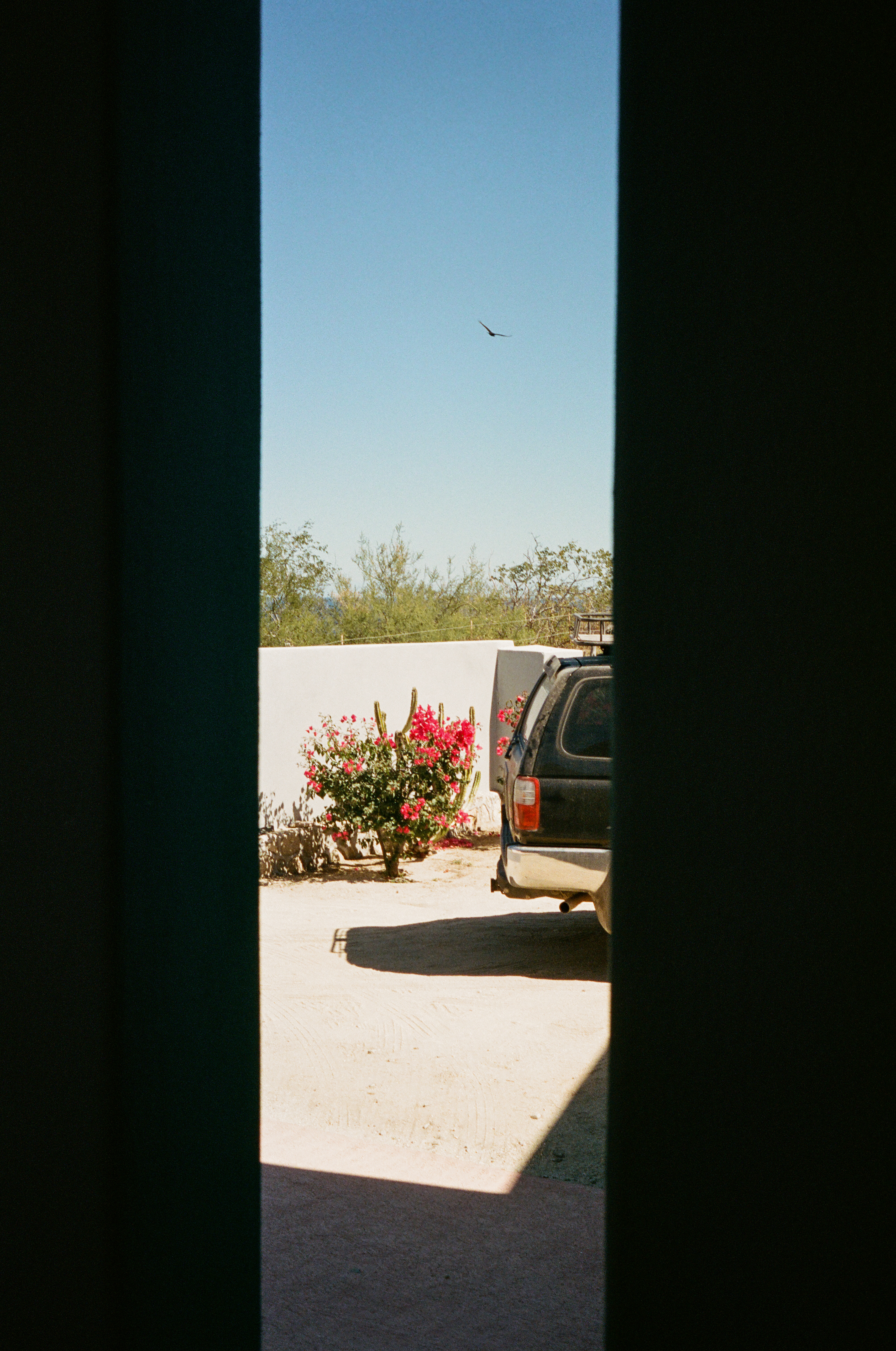 baja cali | portra 400