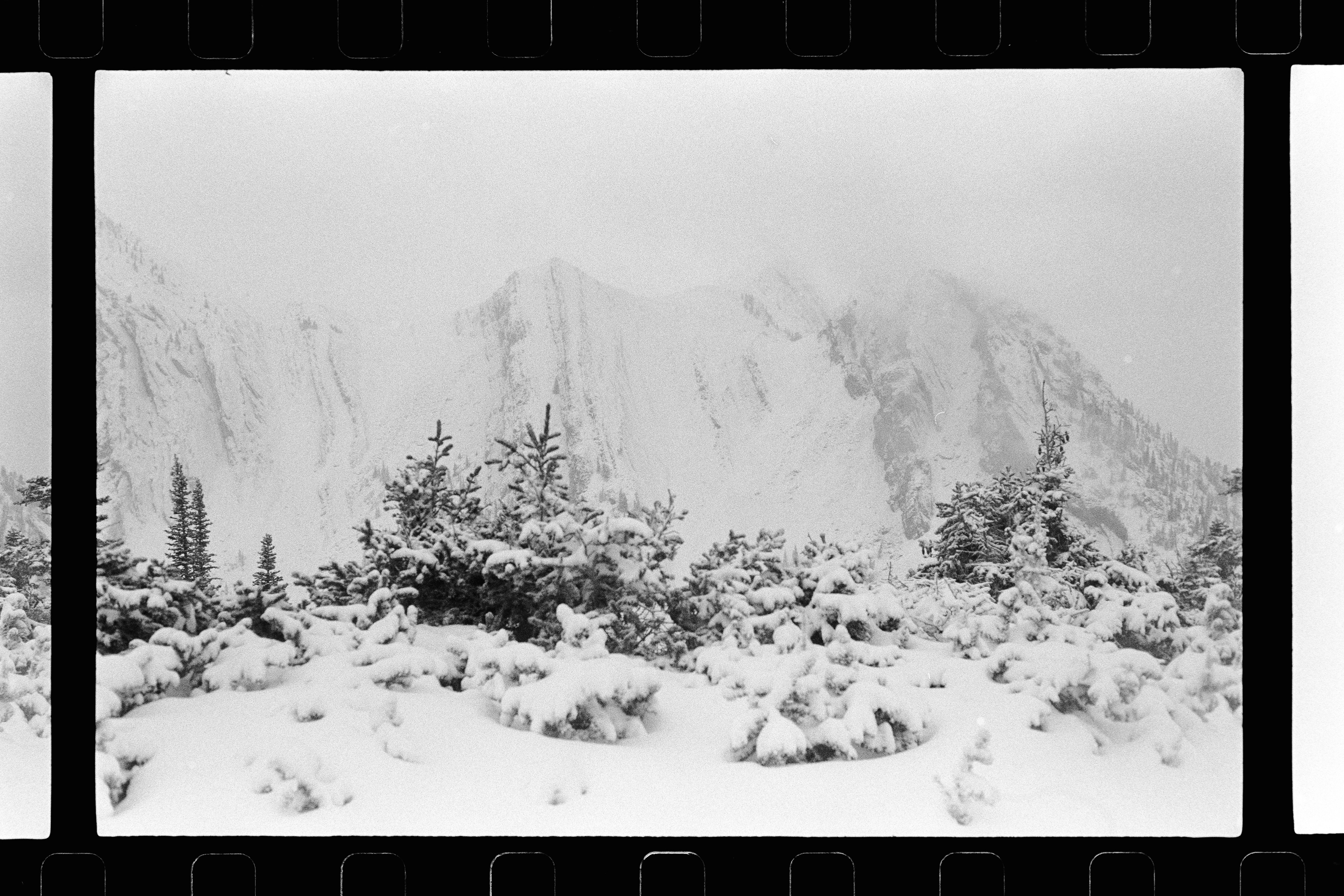 bridger range, mt | ilford hp5+
