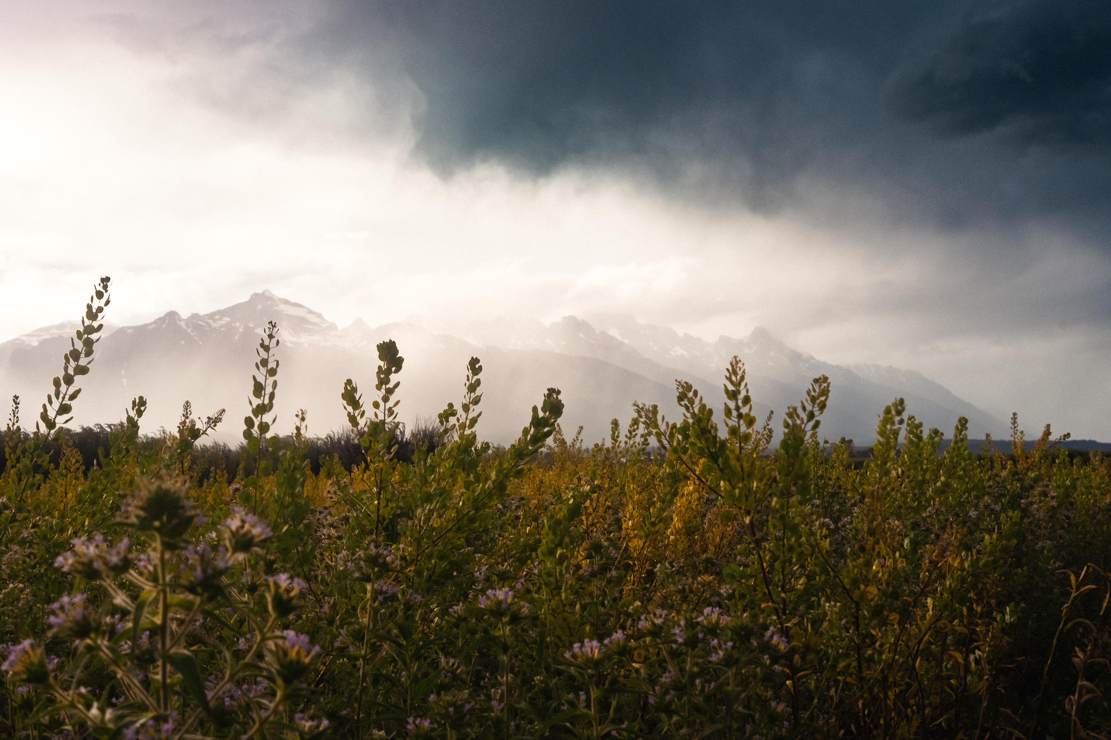 tetons, wy | fujifilm xe-4