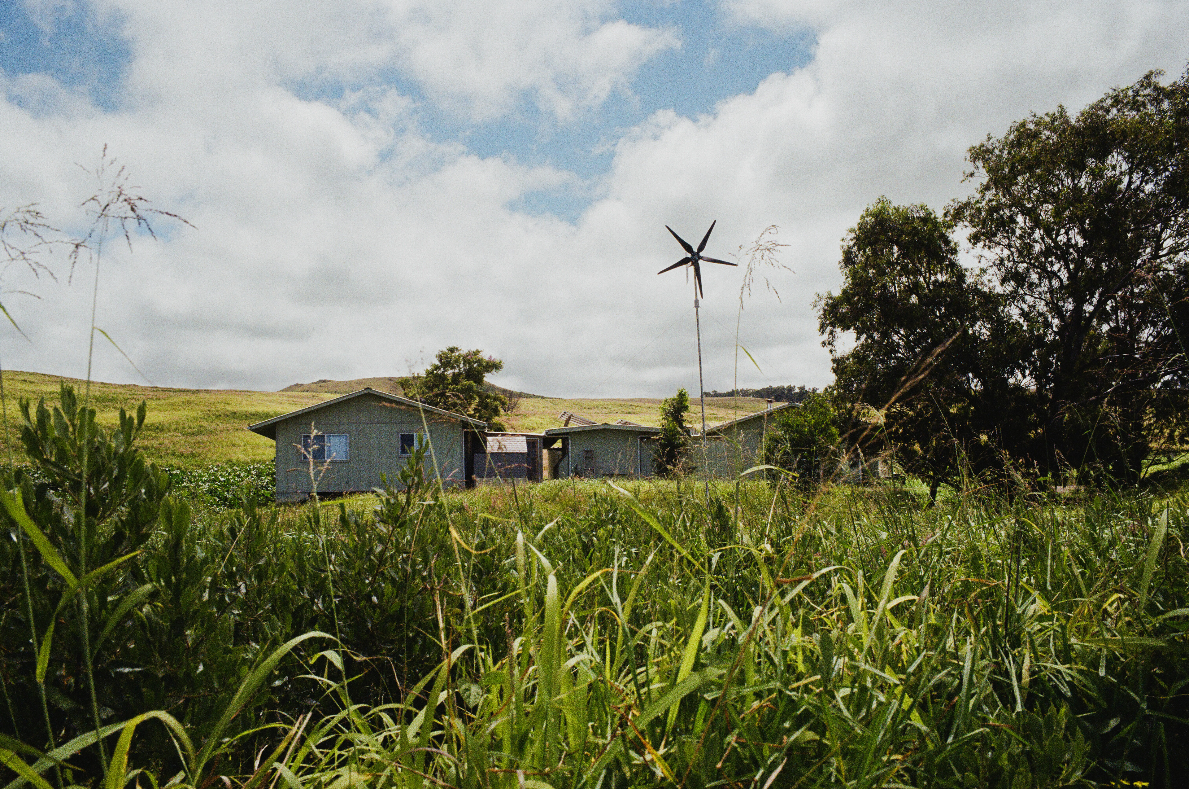 big island | fuji 200