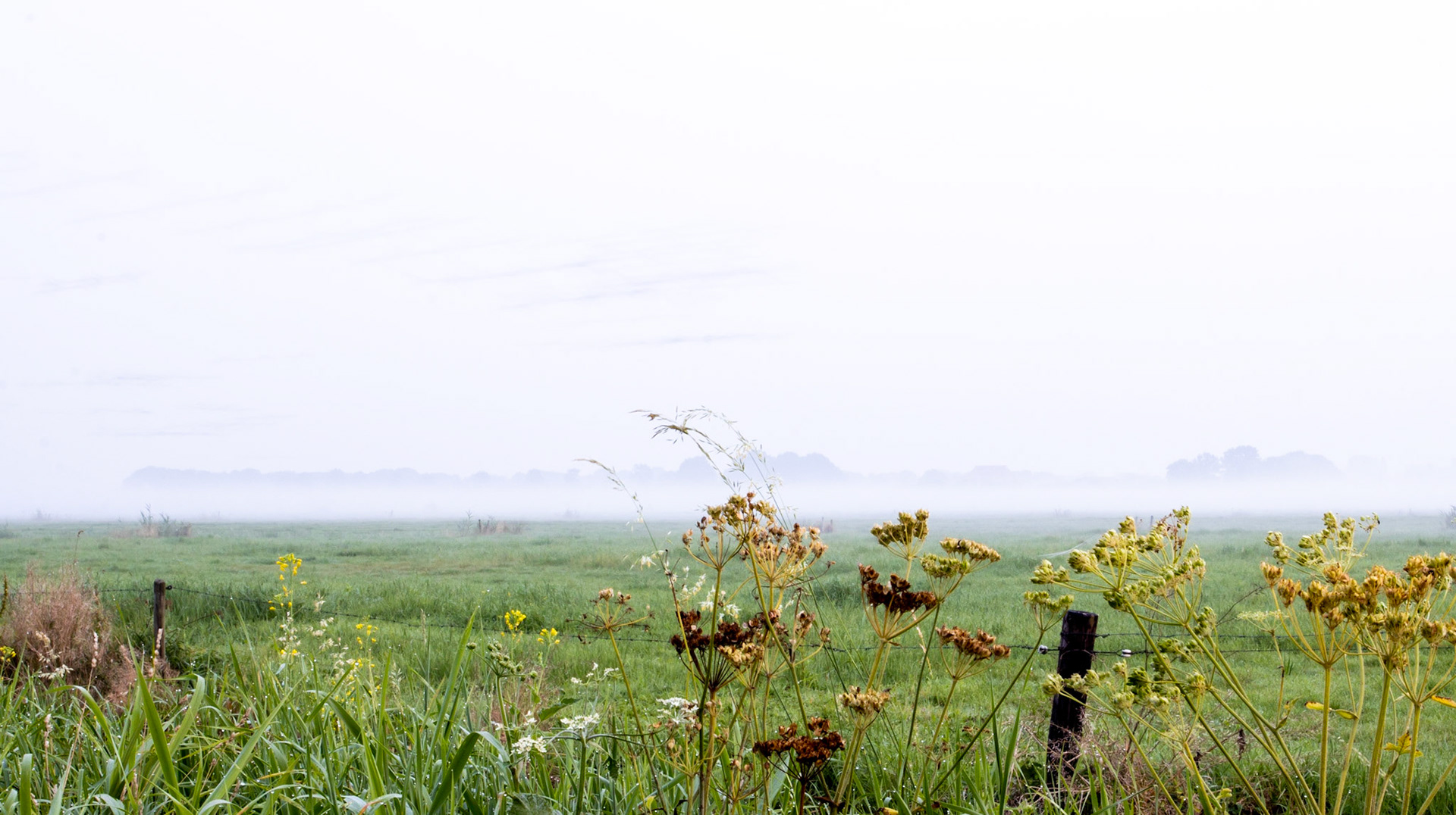 Lindevallei Mist