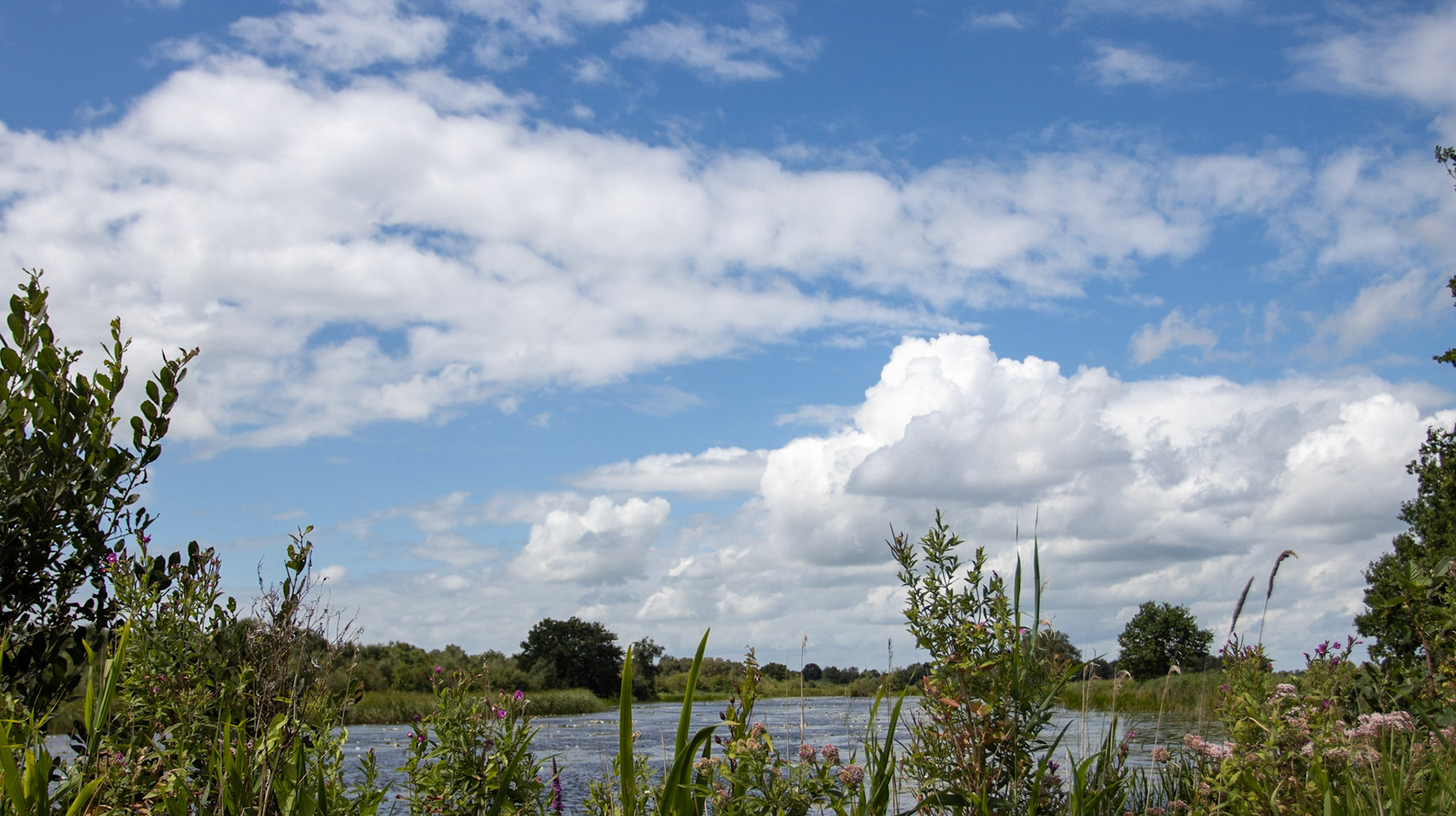 Brandemeer