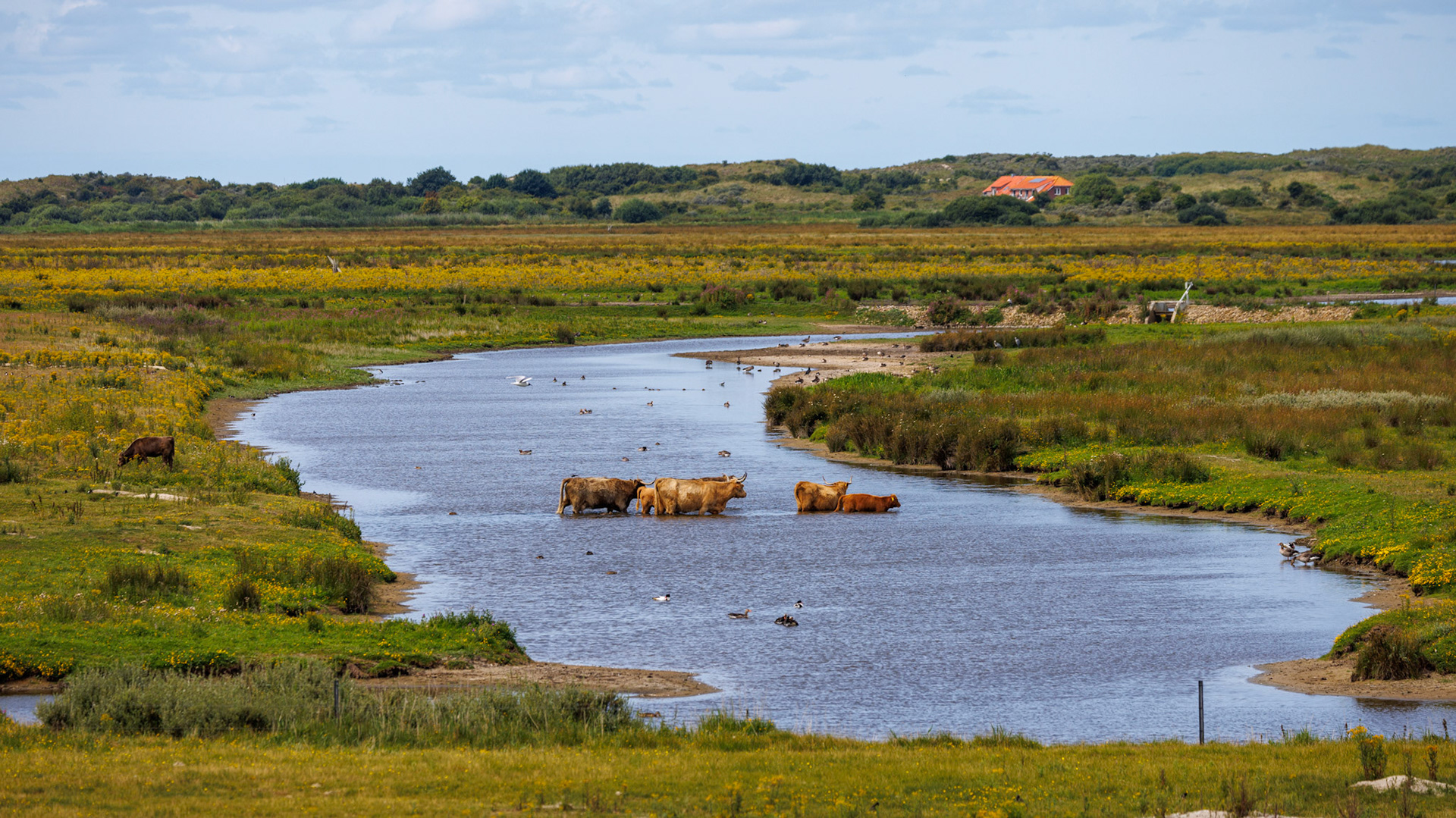 Borkum Germany