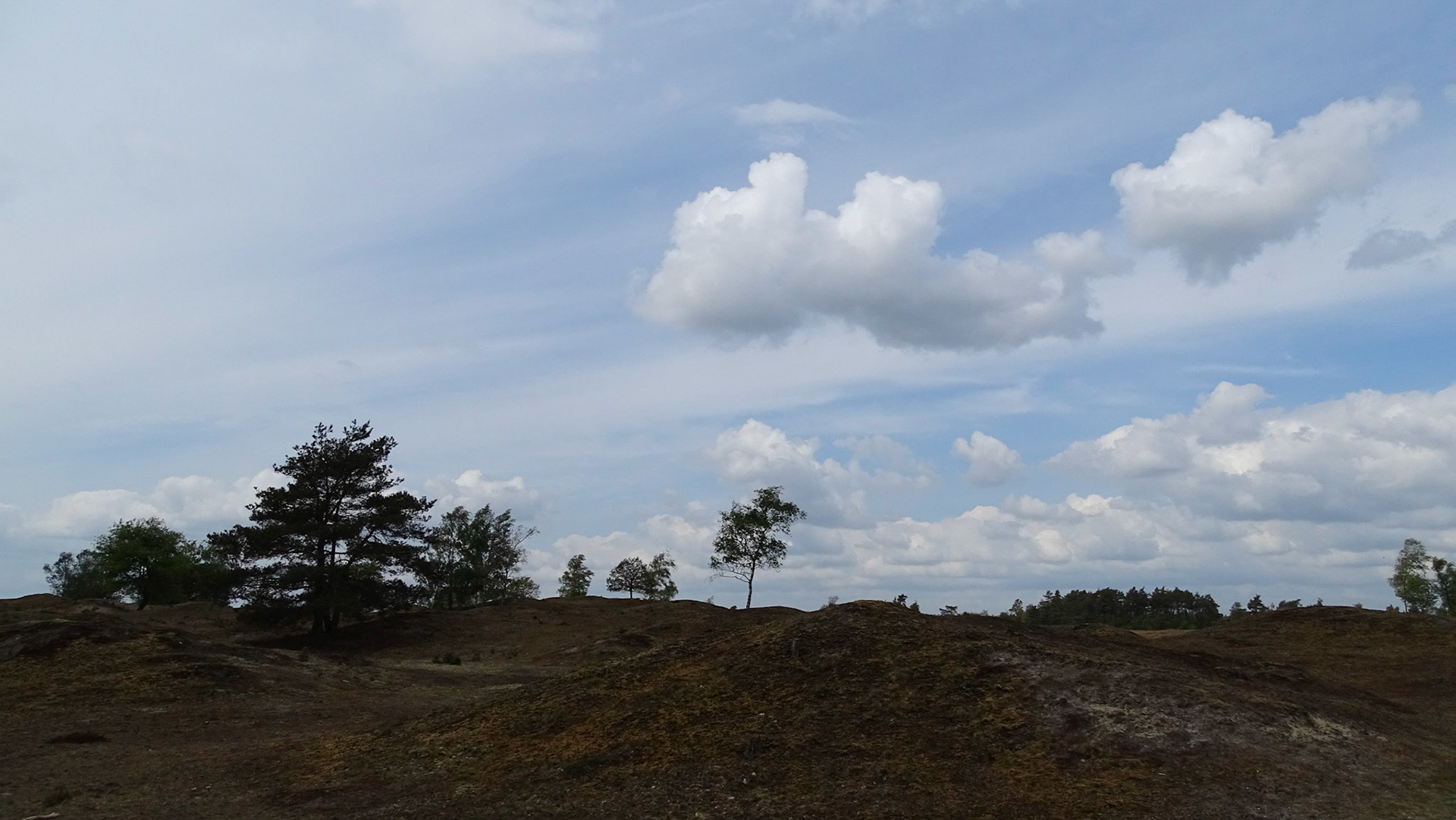 kale duinen