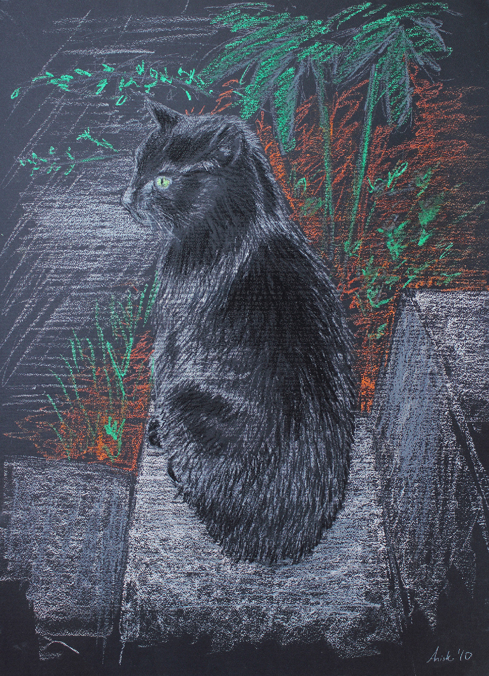 Black Cat - dry pastel on paper