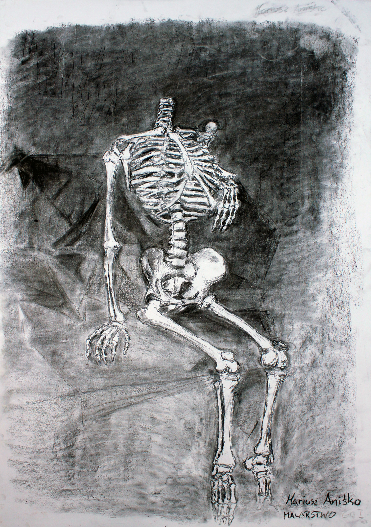 Human Study 34 - 2010 - charcoal on paper