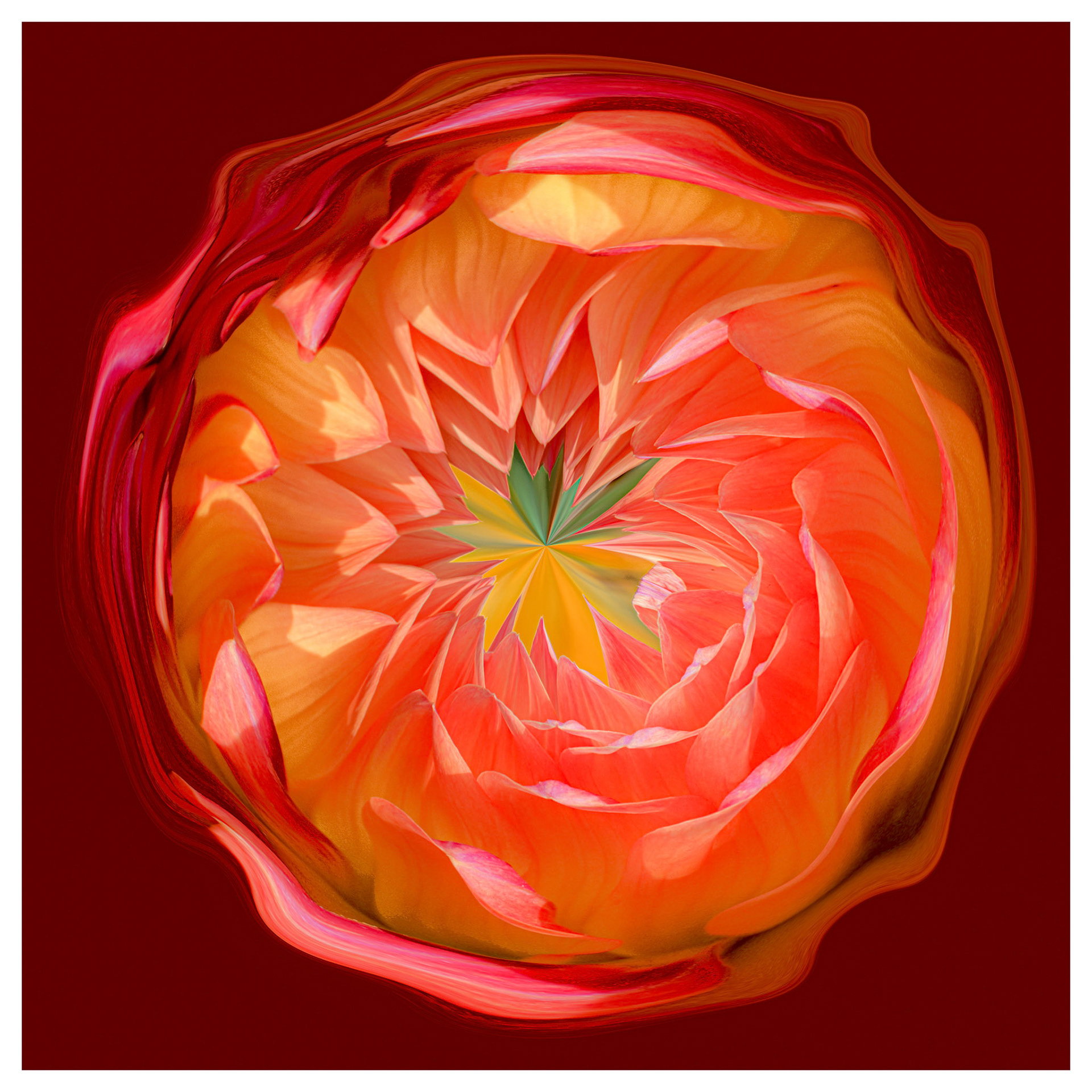 Fantasy Flower