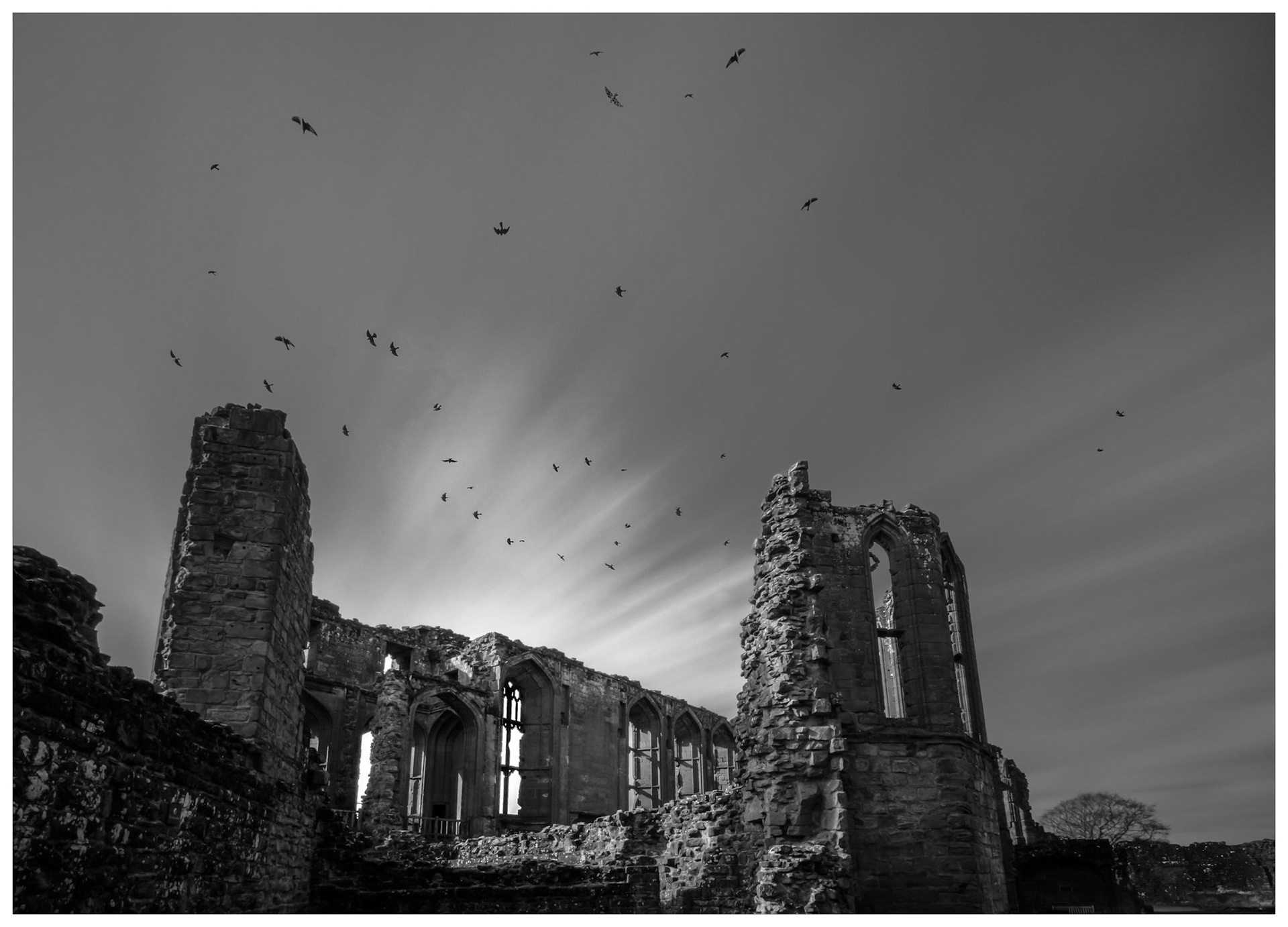 Guardians of the Castle