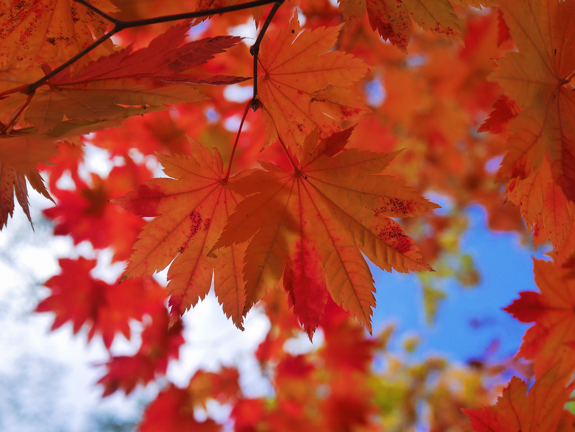 Processed with VSCO with s3 preset