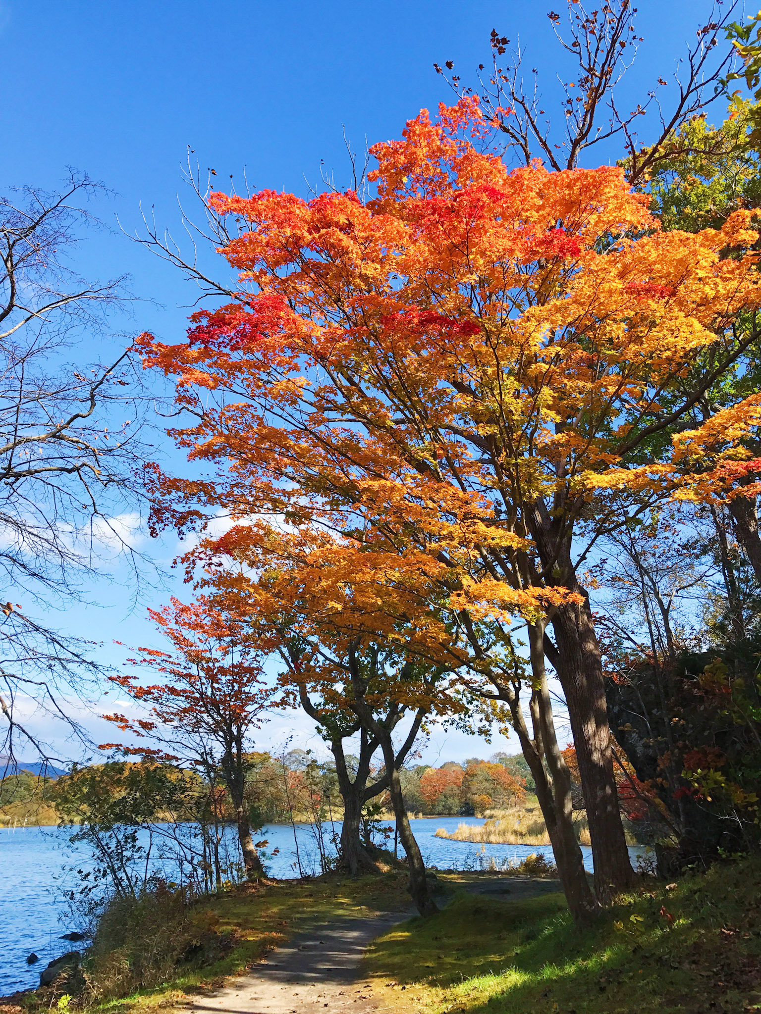 Processed with VSCO with s3 preset