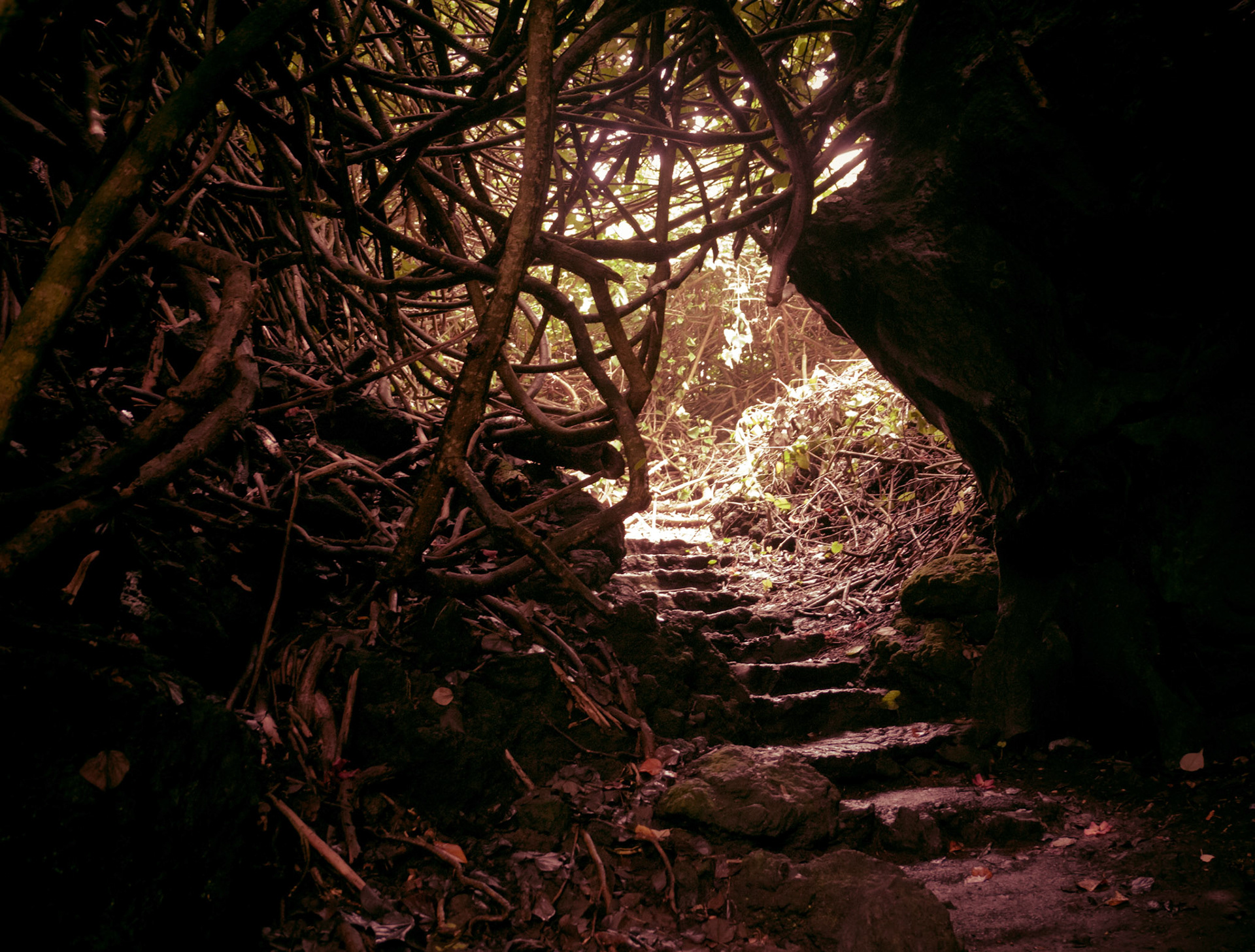A Dark Path