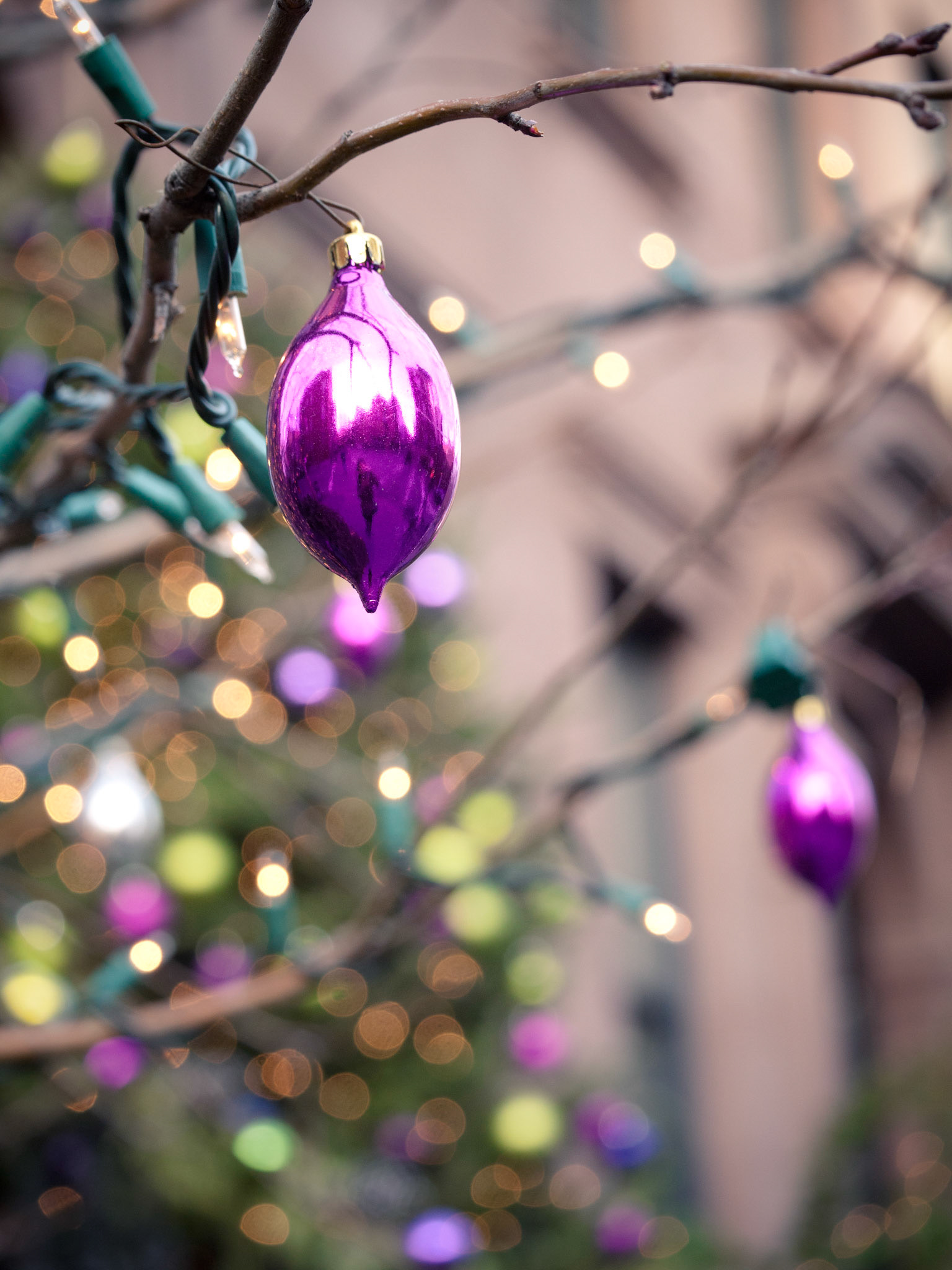 Christmas Bokeh