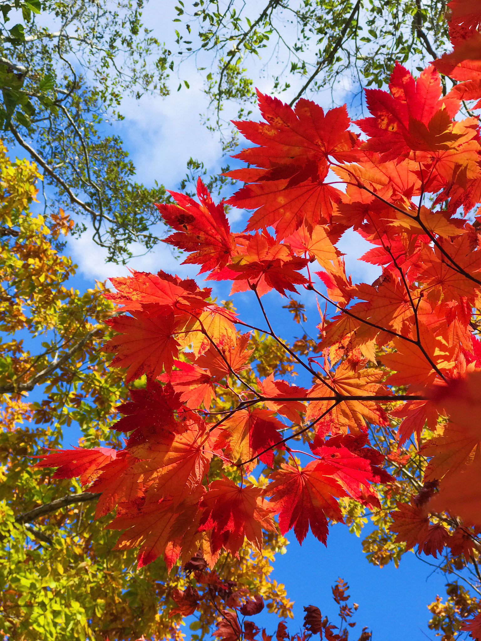 Processed with VSCO with s3 preset