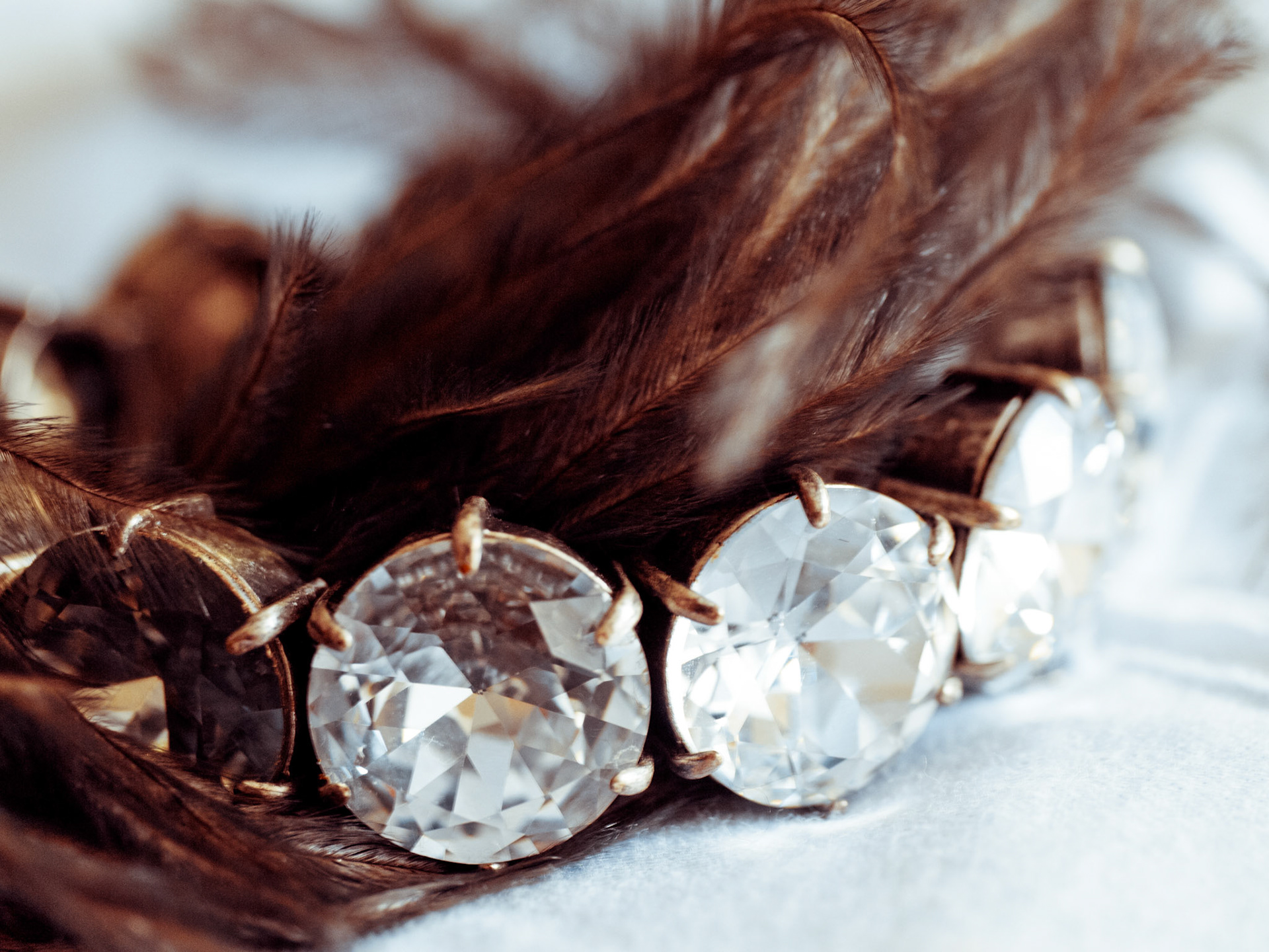 Of Feathers and Gems