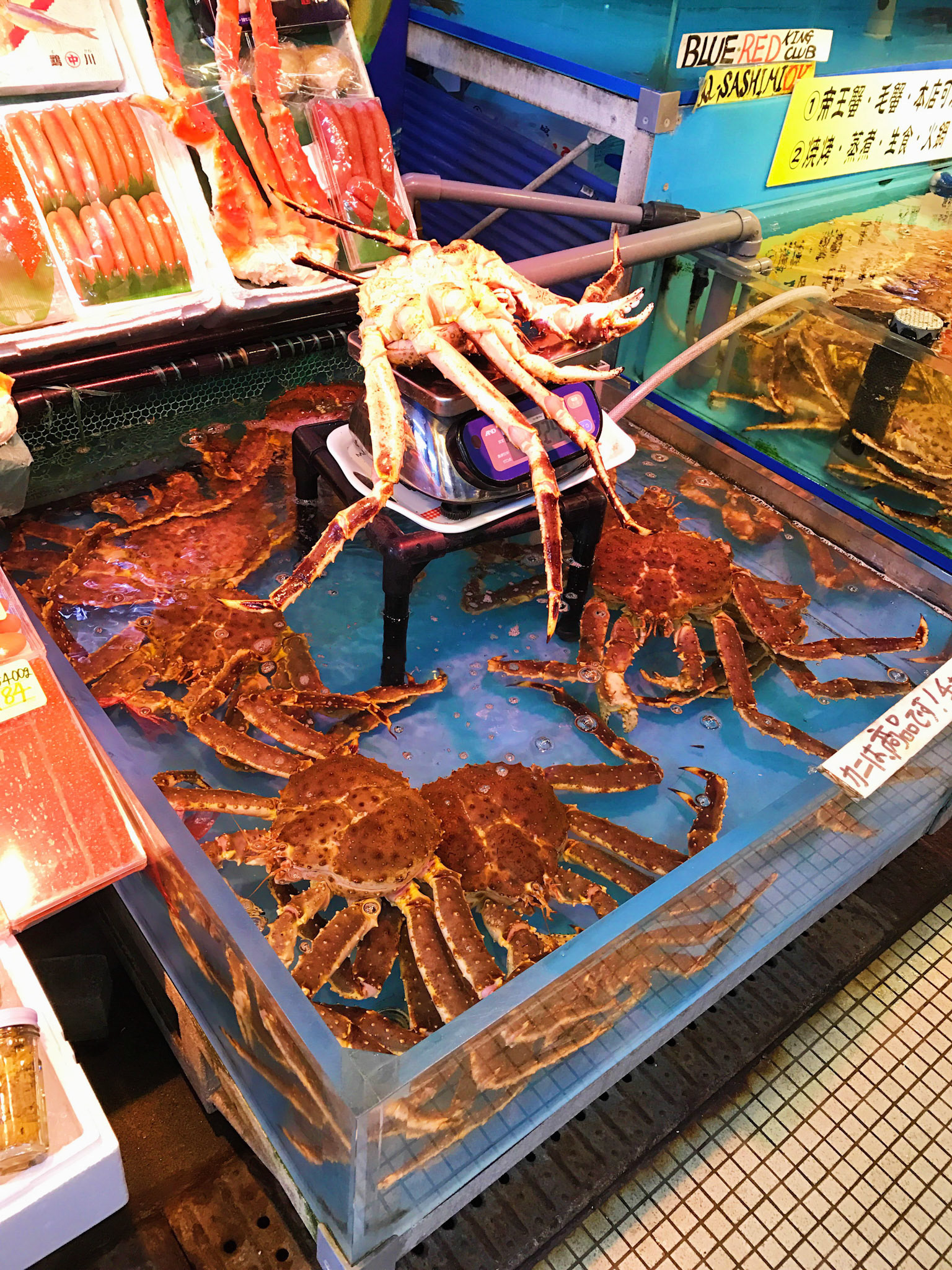 Processed with VSCO with s3 preset