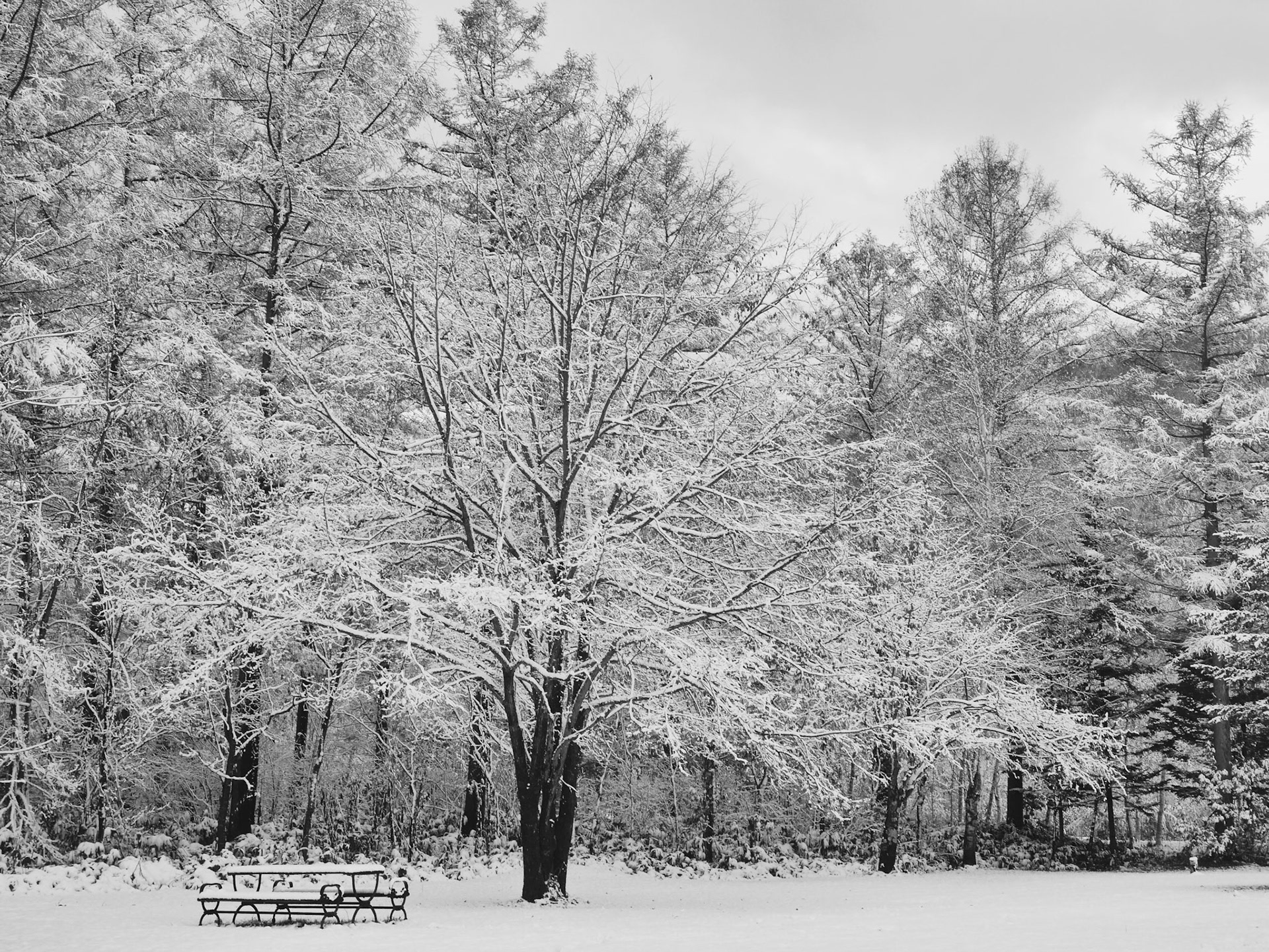 Processed with VSCO with b1 preset