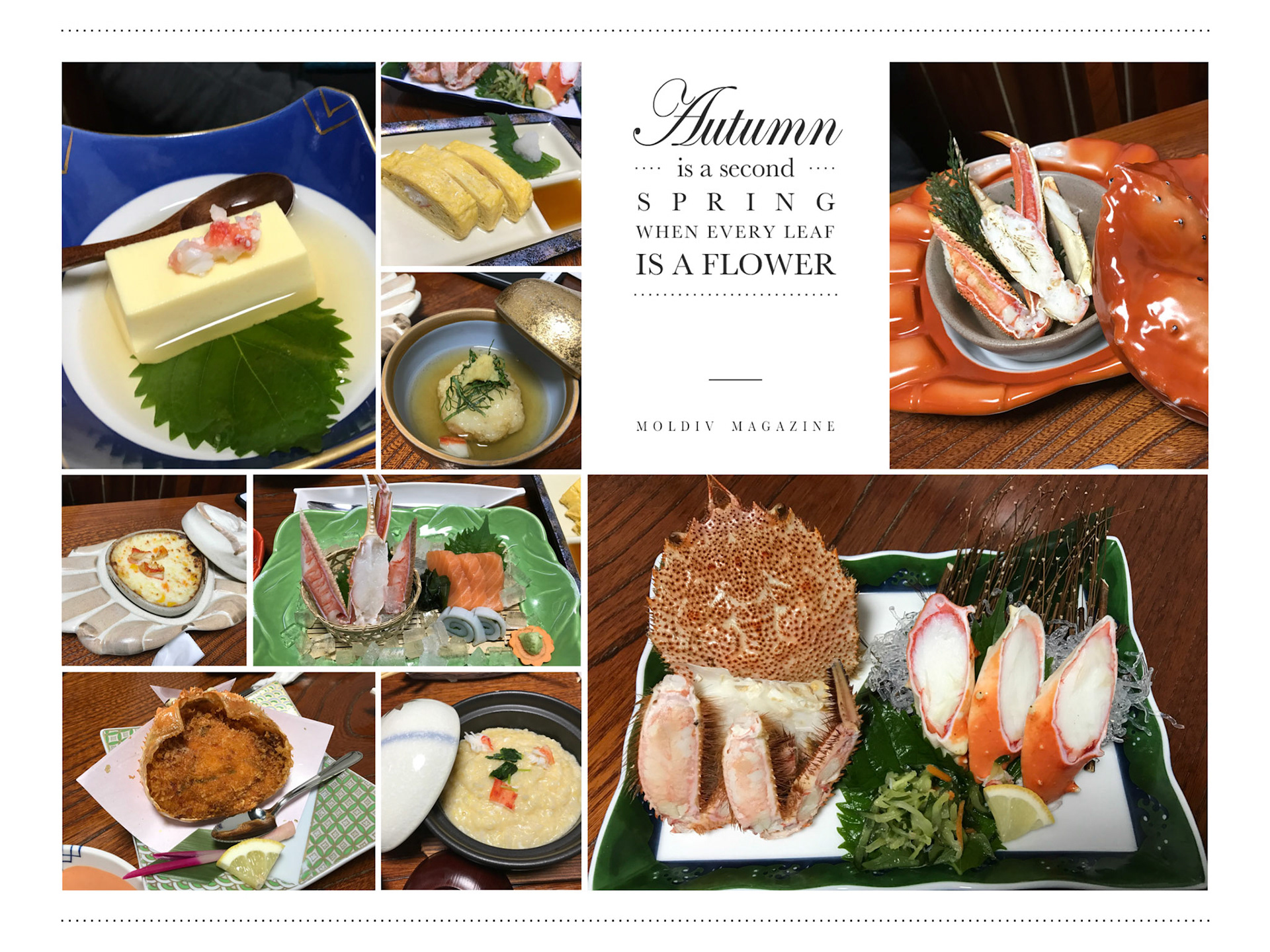 Processed with MOLDIV