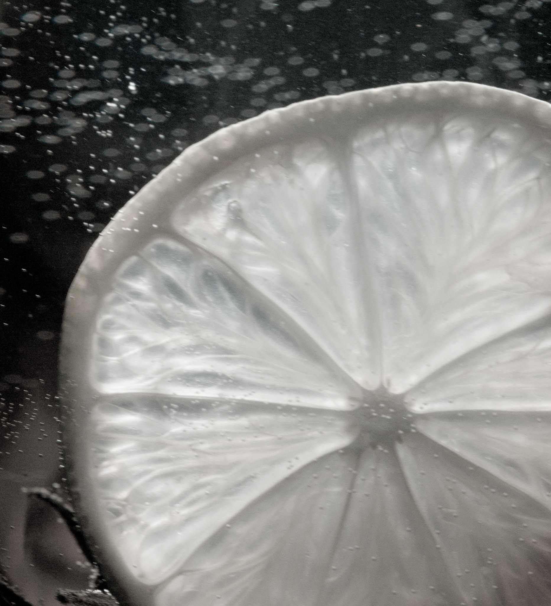 Making Lemon Water 1