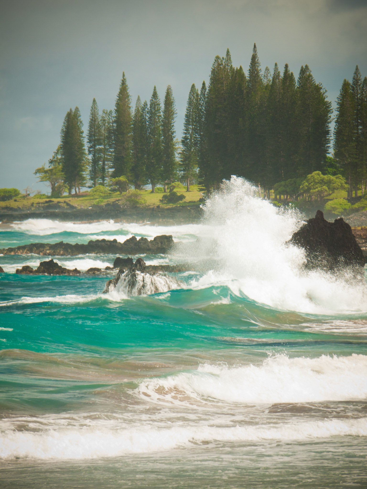 Evergreen Shores