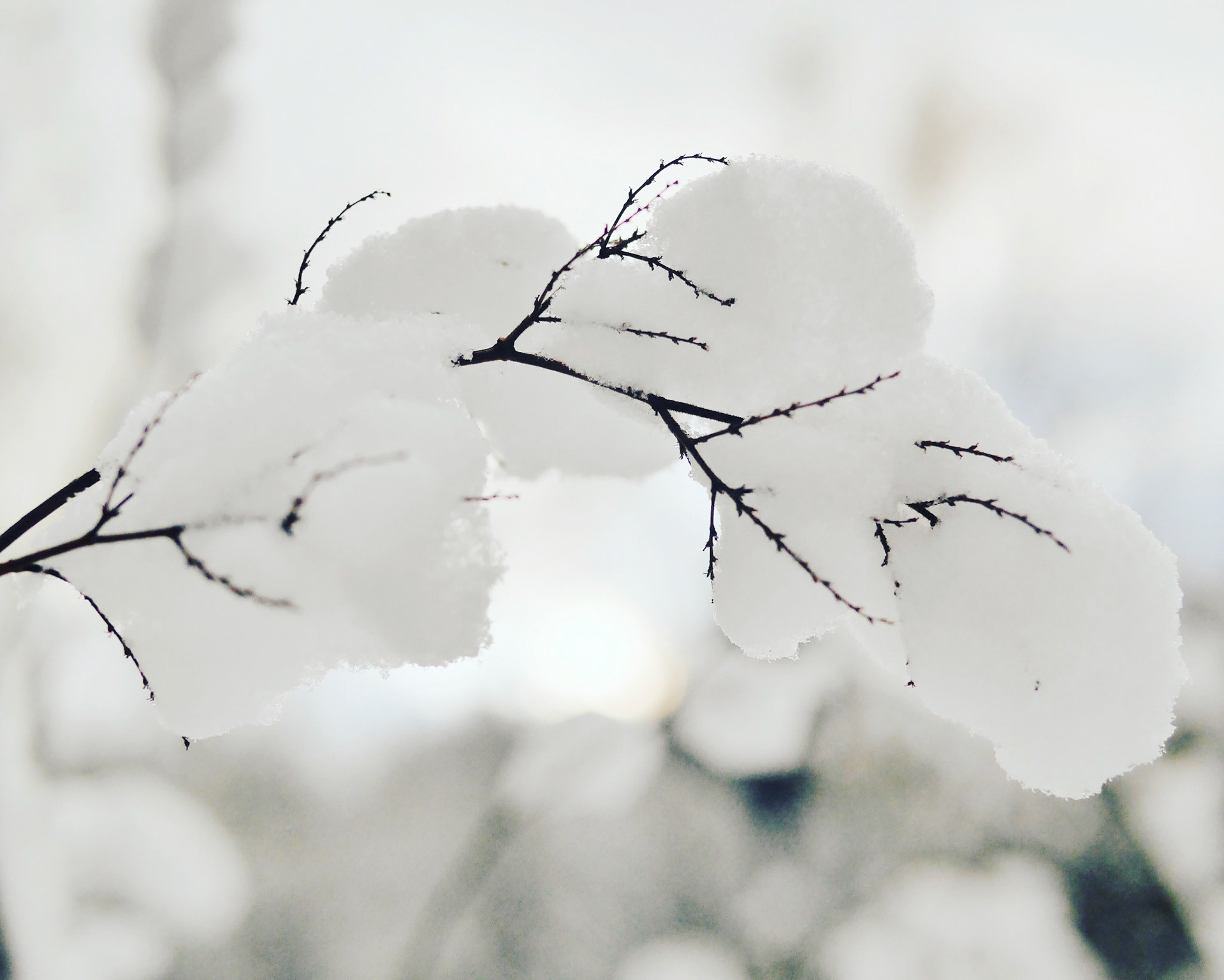 Processed with VSCO with c2 preset