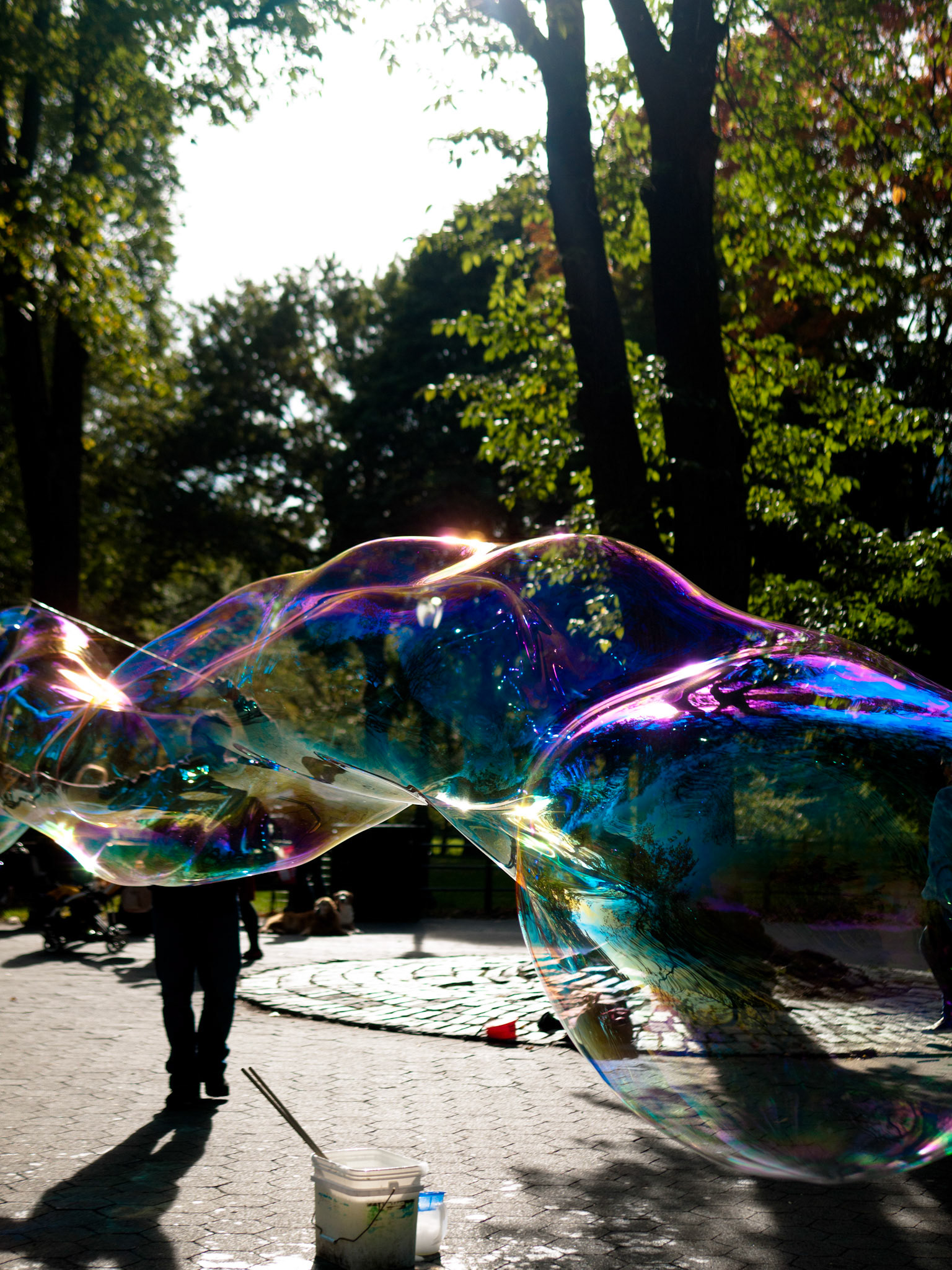 Bubble Trail
