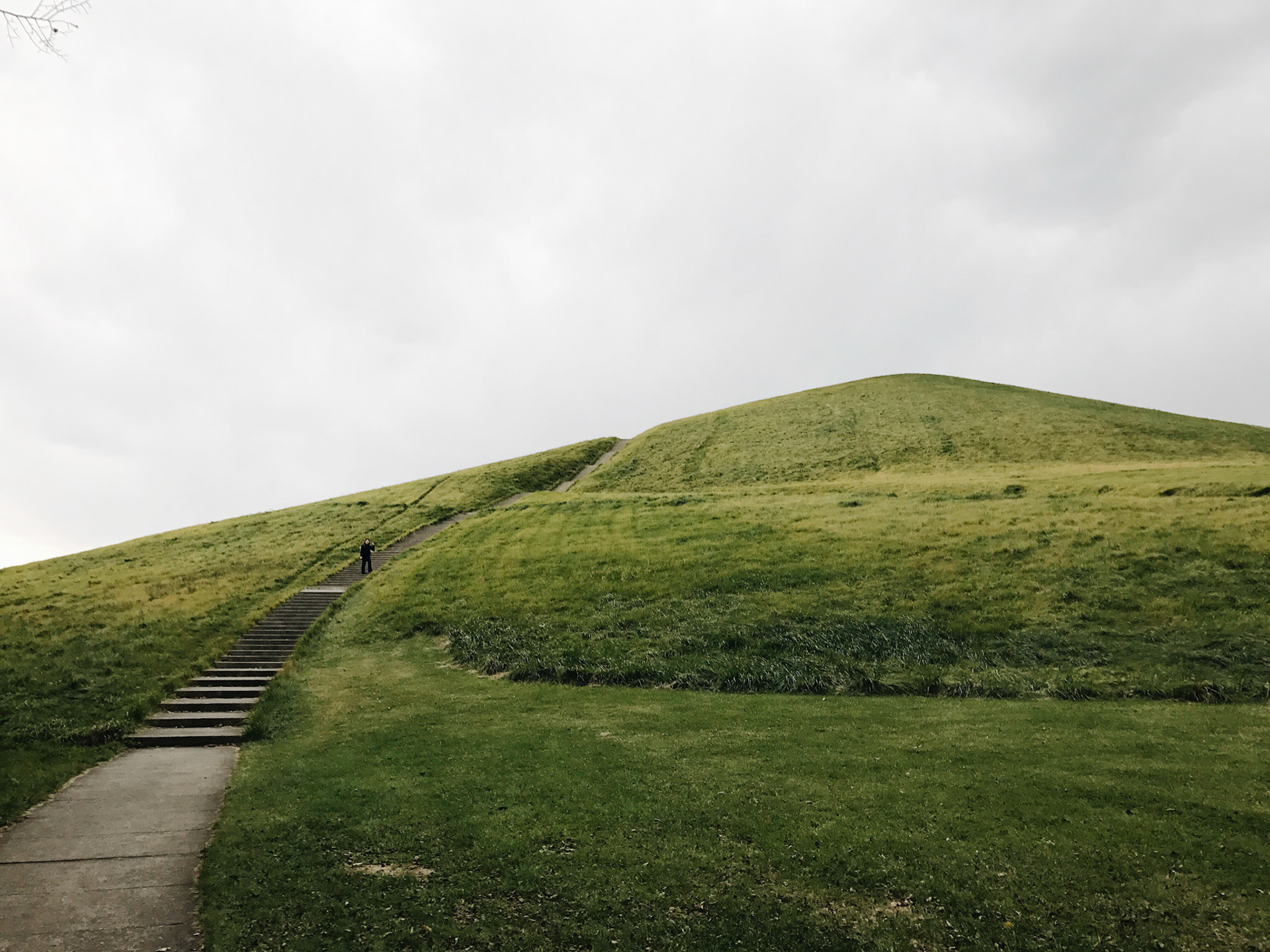 Processed with VSCO with a6 preset