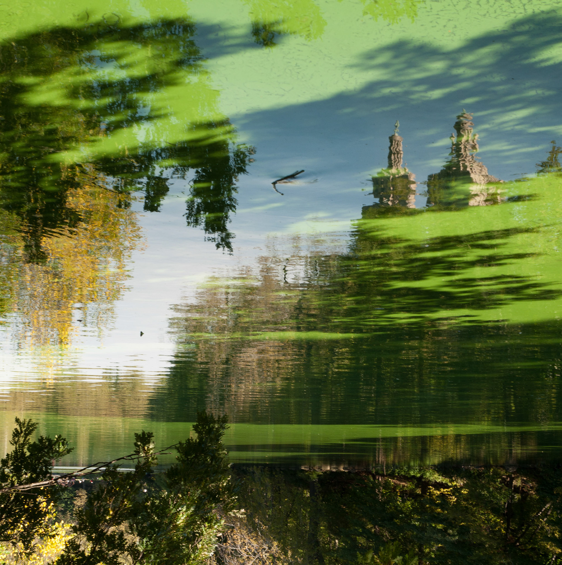 Green Tea Powdered Lake