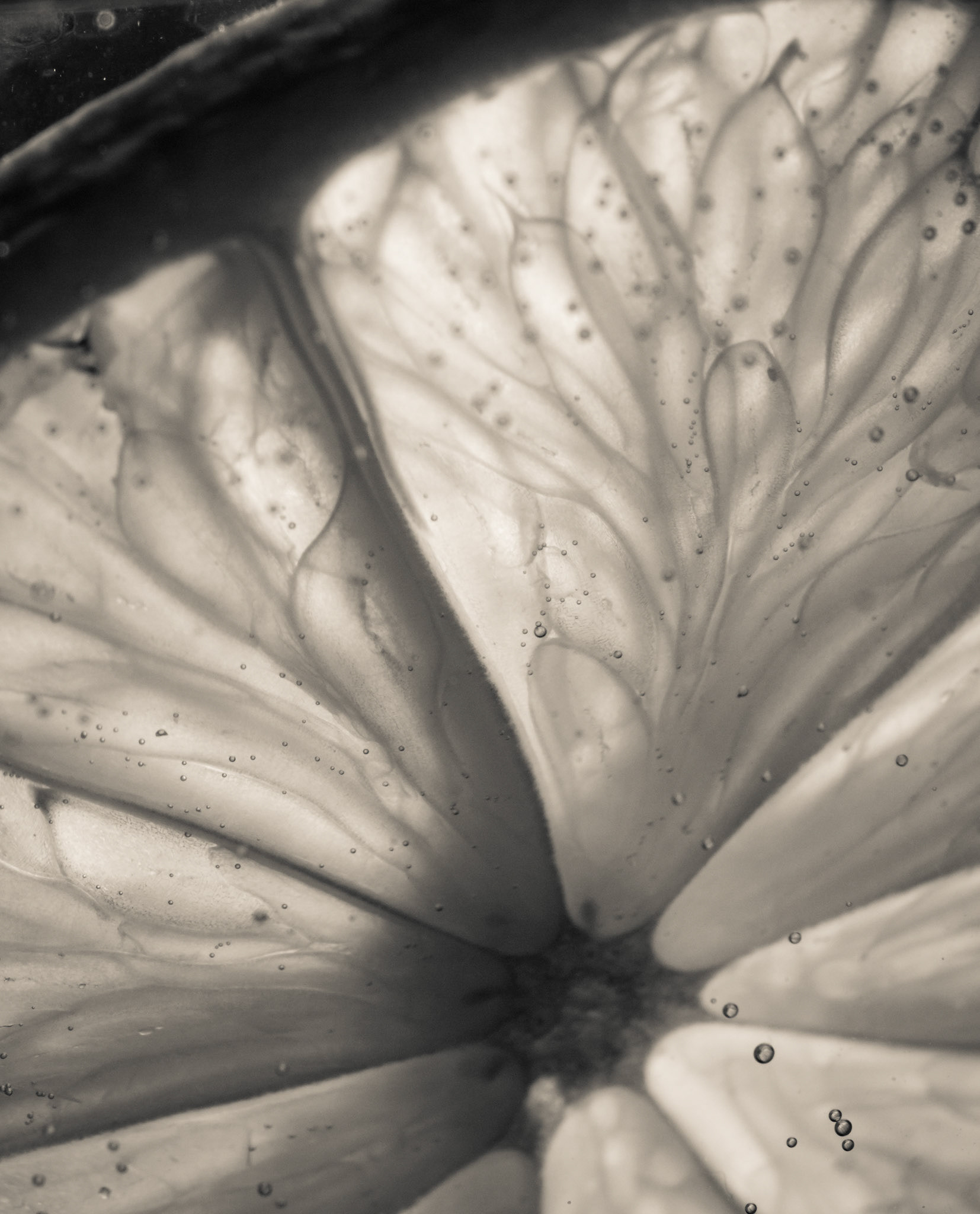 Making Lemon Water 1