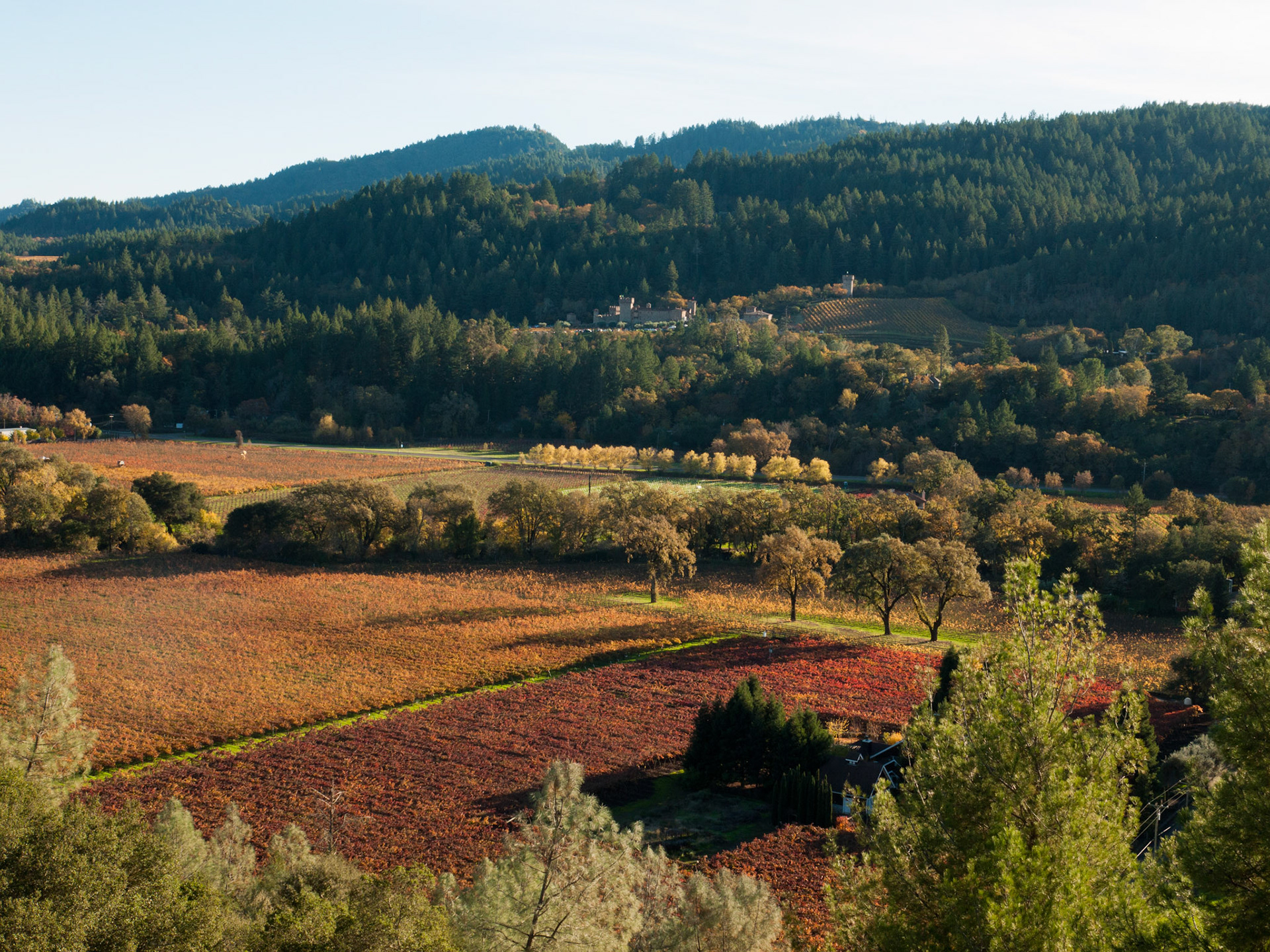 Fields on Fire