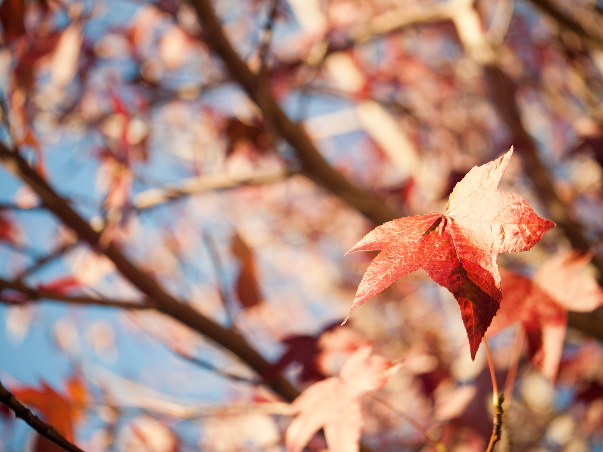 Changing Colors